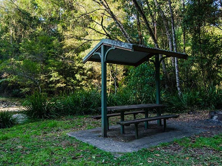 Wilson River picnic area shelter, Willi Willi National Park. Photo: John Spencer