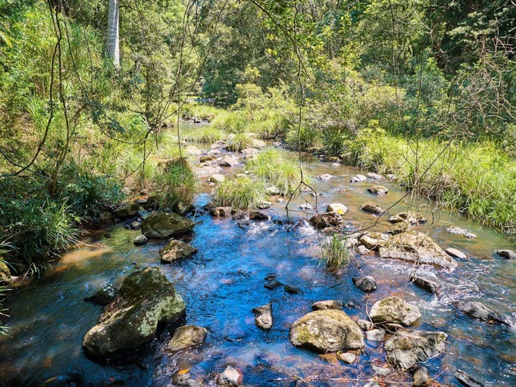 Wilsons Creek - Byron Shire NSW