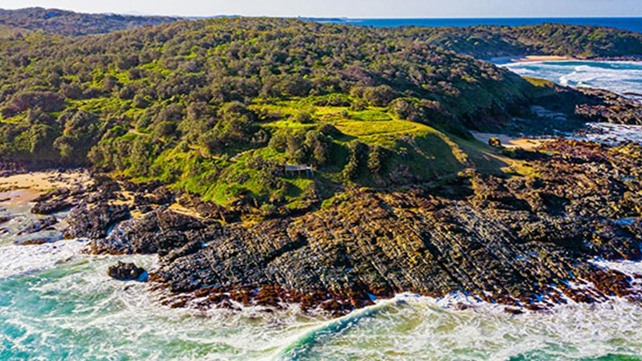Wilsons Headland picnic area