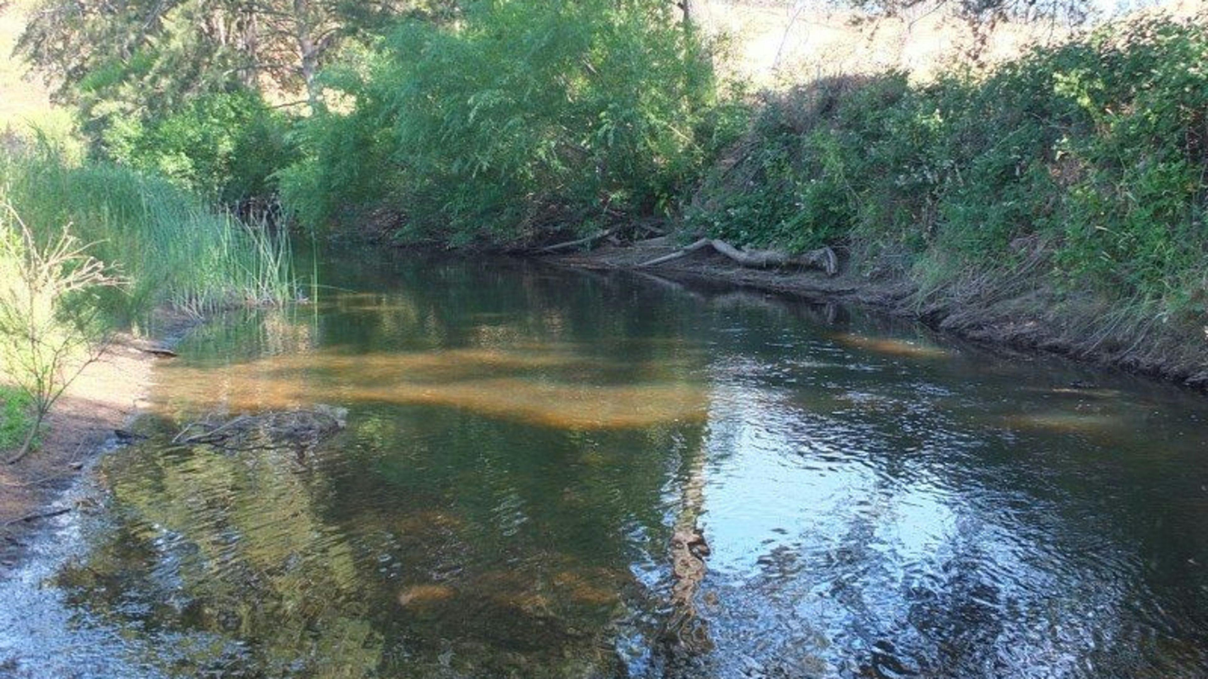 Windy Oaks Farm, O'Connell