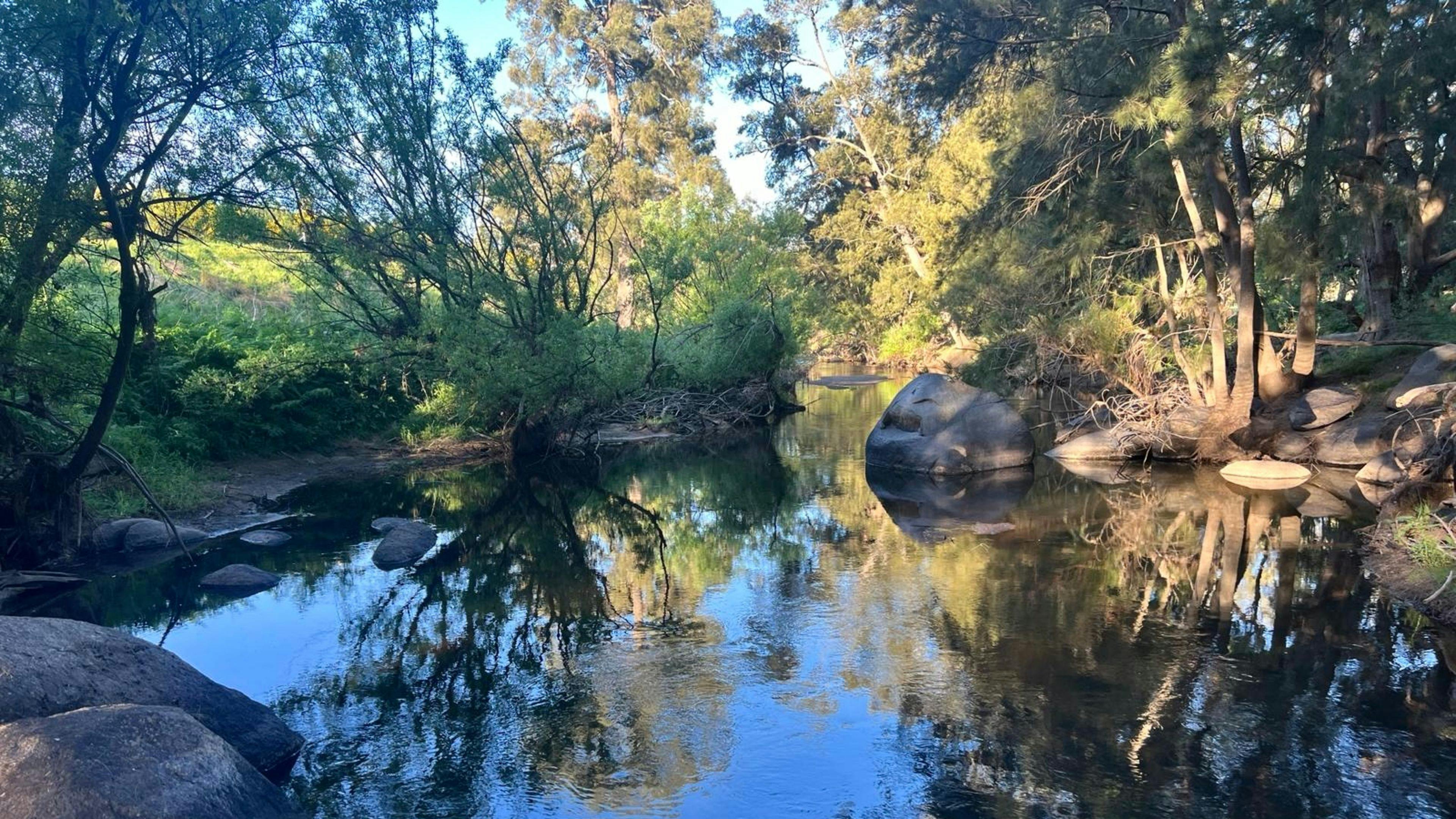 Windy Oaks Farm, O'Connell