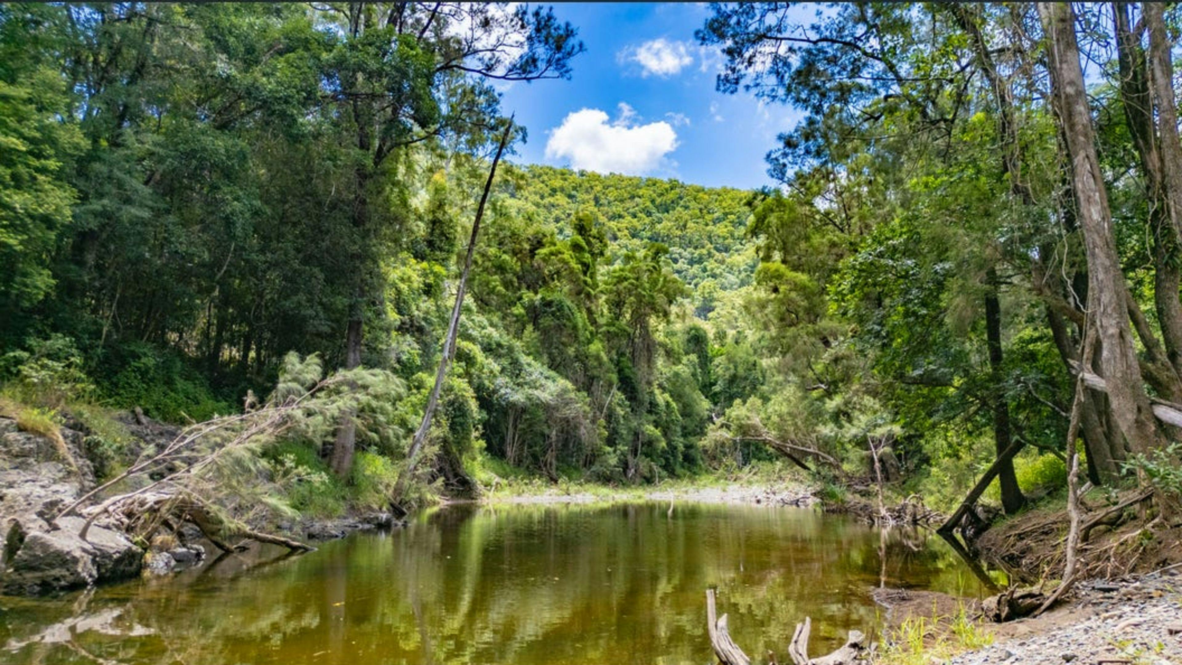 Windyridge Creekside Camp