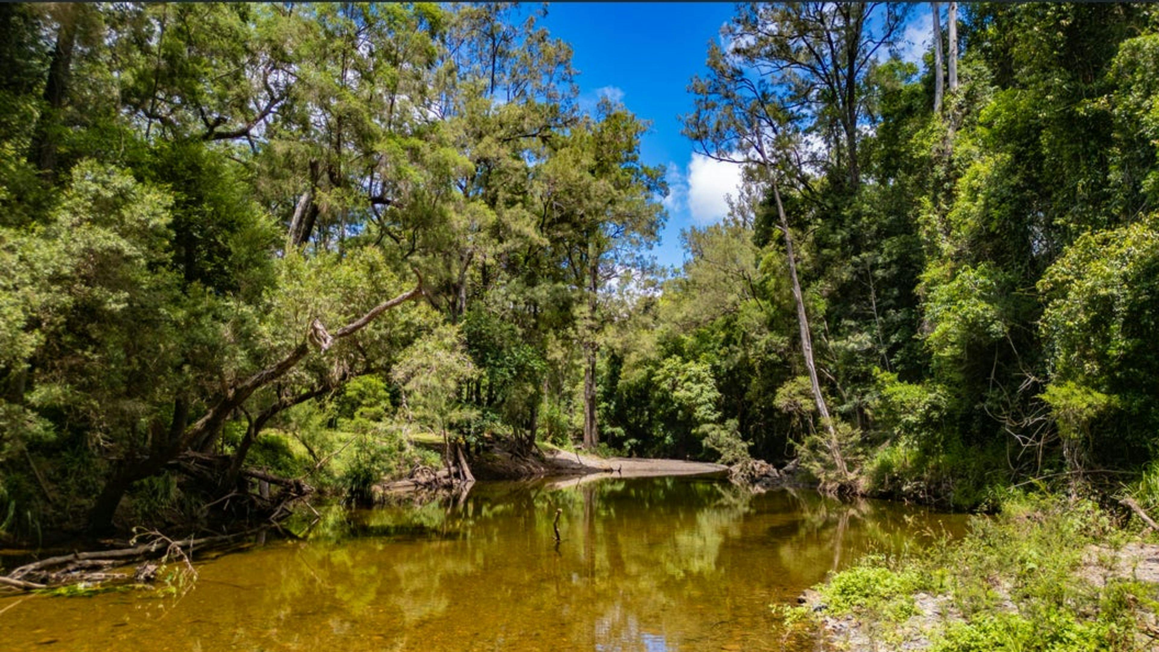 Windyridge Creekside Camp