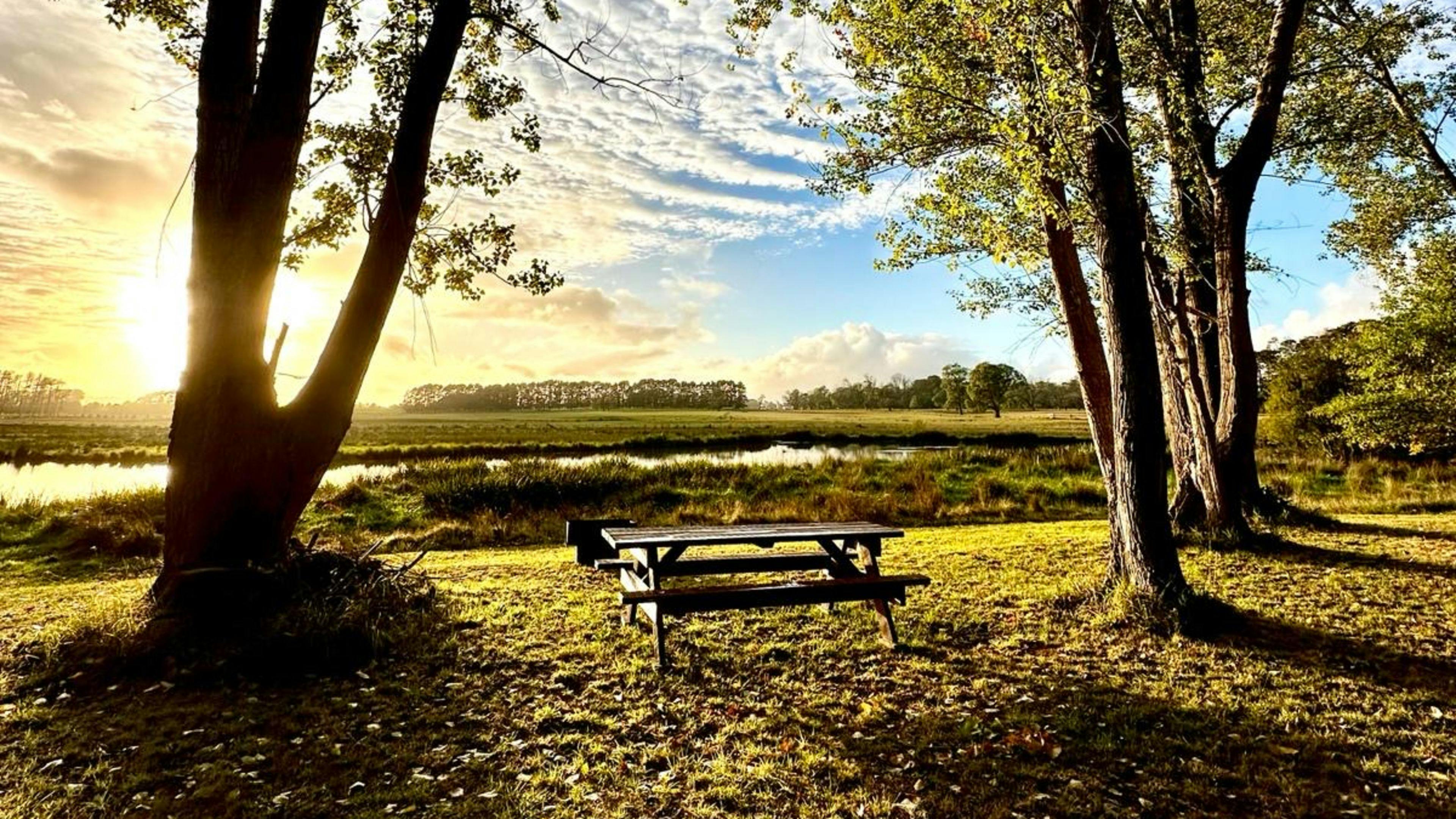 Wings of the Carribee