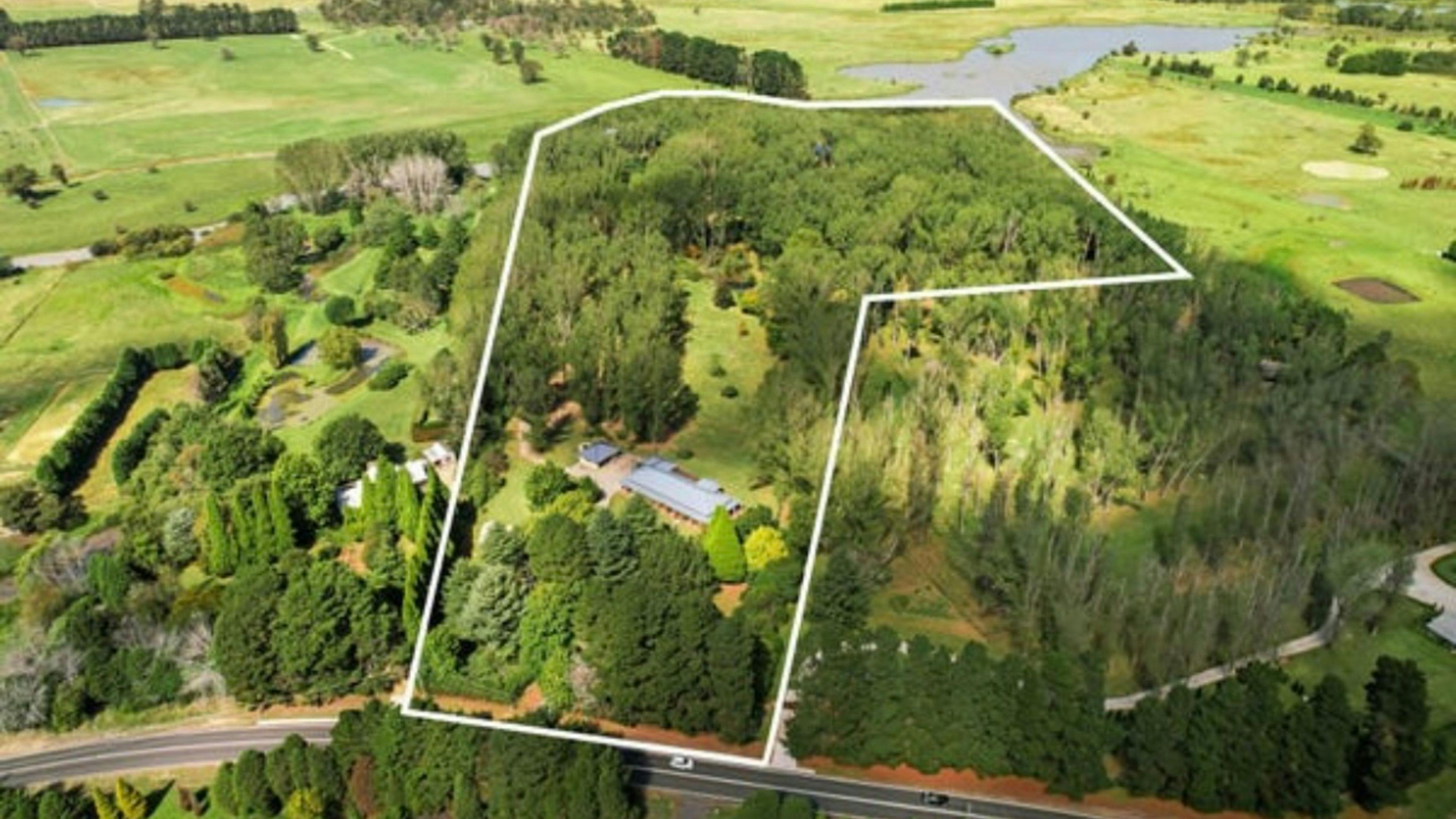 Wings of the Carribee