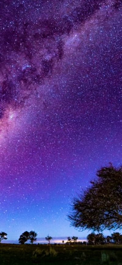 Lay back on the star gazing truck bed and enjoy these clear skies