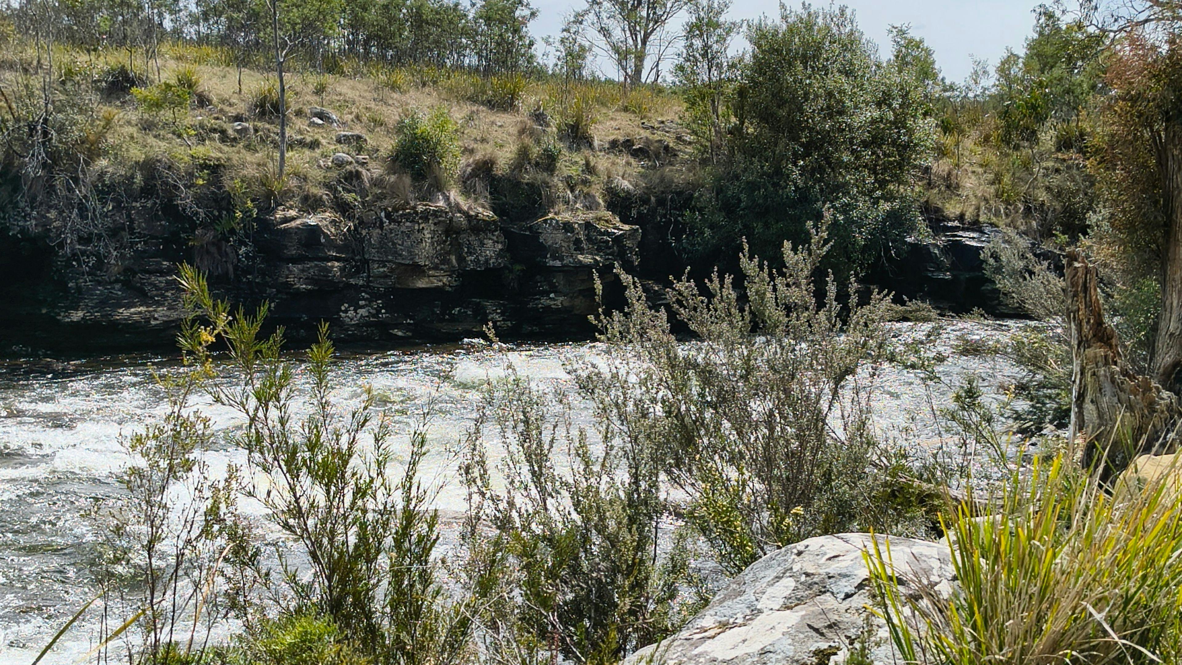 Enjoy undisturbed views of the Broad River flowing through pristine wilderness.