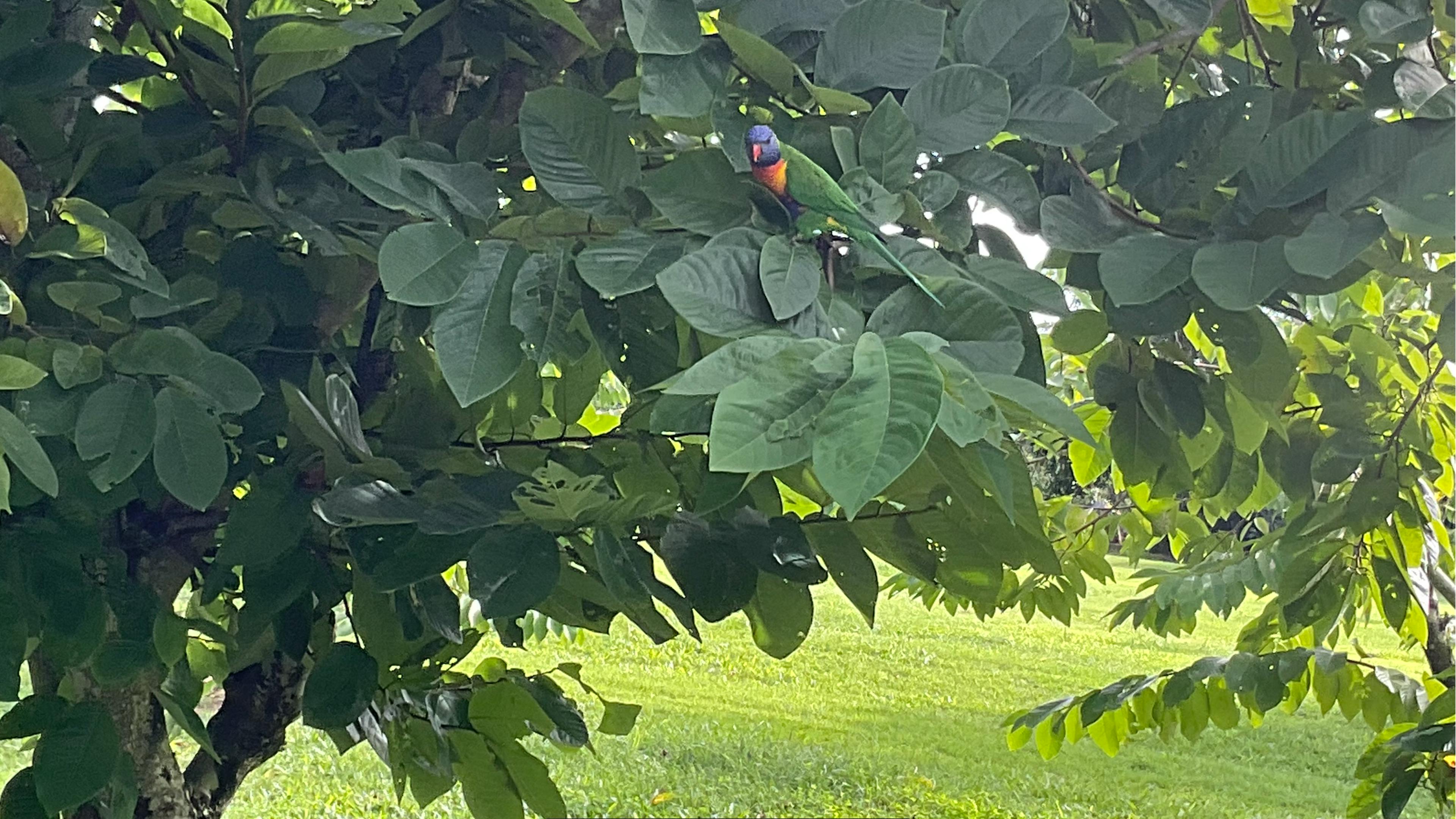 Sunshine Coast Retreat