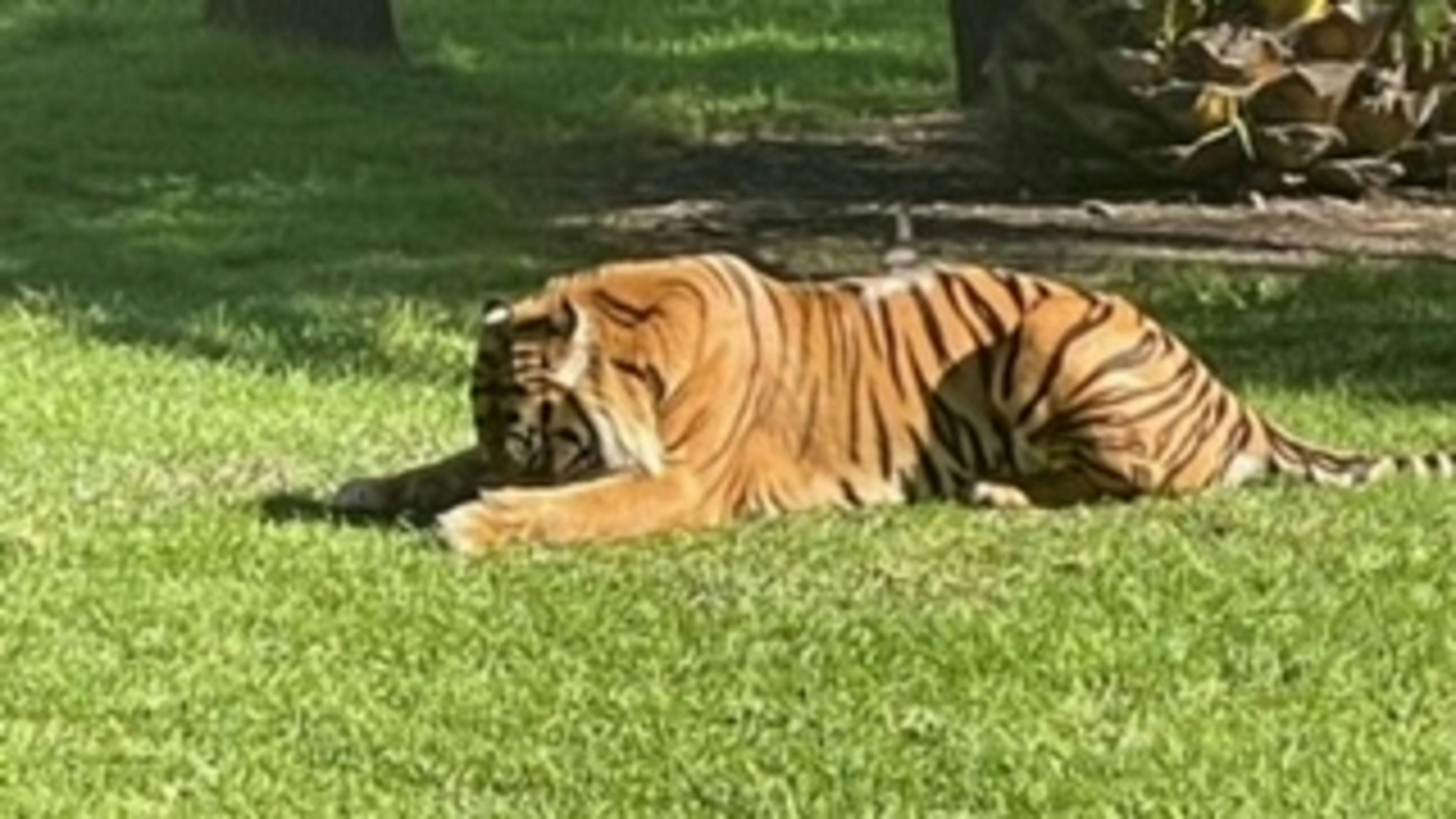 KANGAROO CREEK CAMP DUBBO