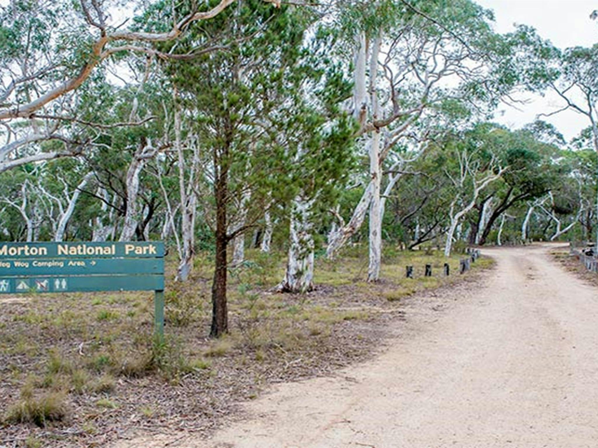 Wog Wog campground