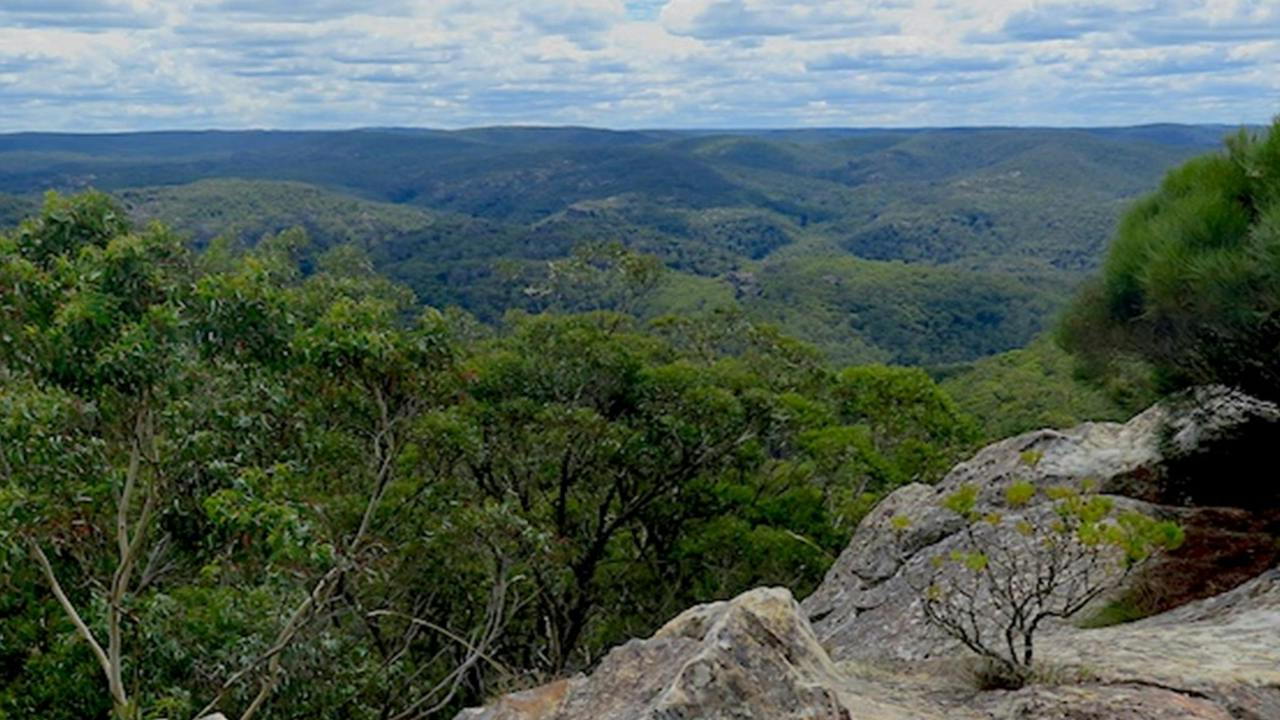 Wollangambe Canyon 1