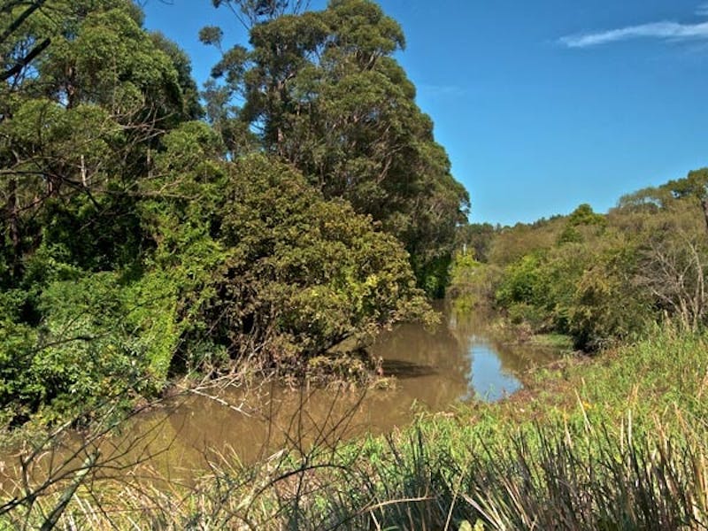Wolli Creek track, Wolli Creek Regional Park. Photo: John Spencer