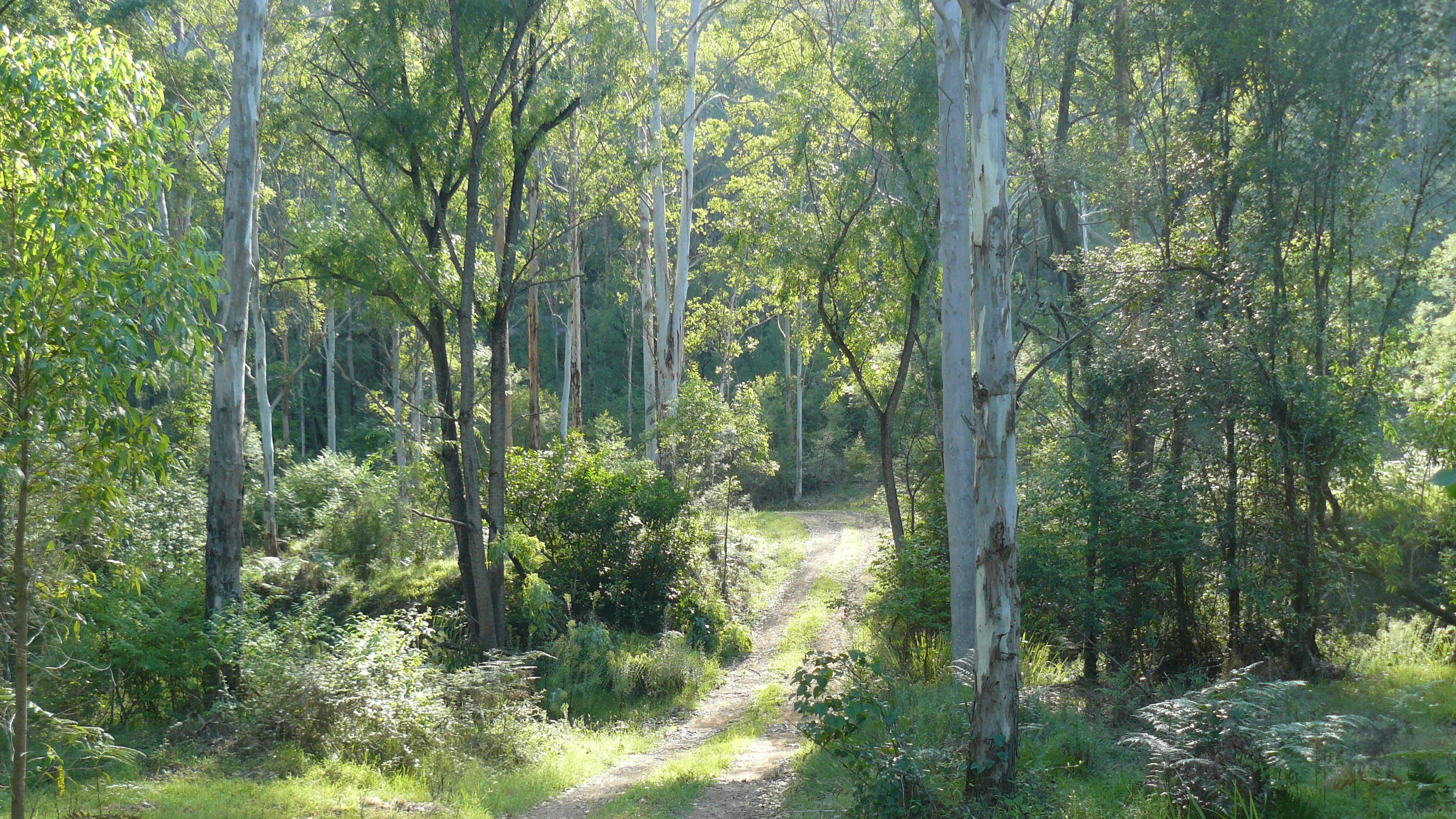 Wollombi Private Earthways camp