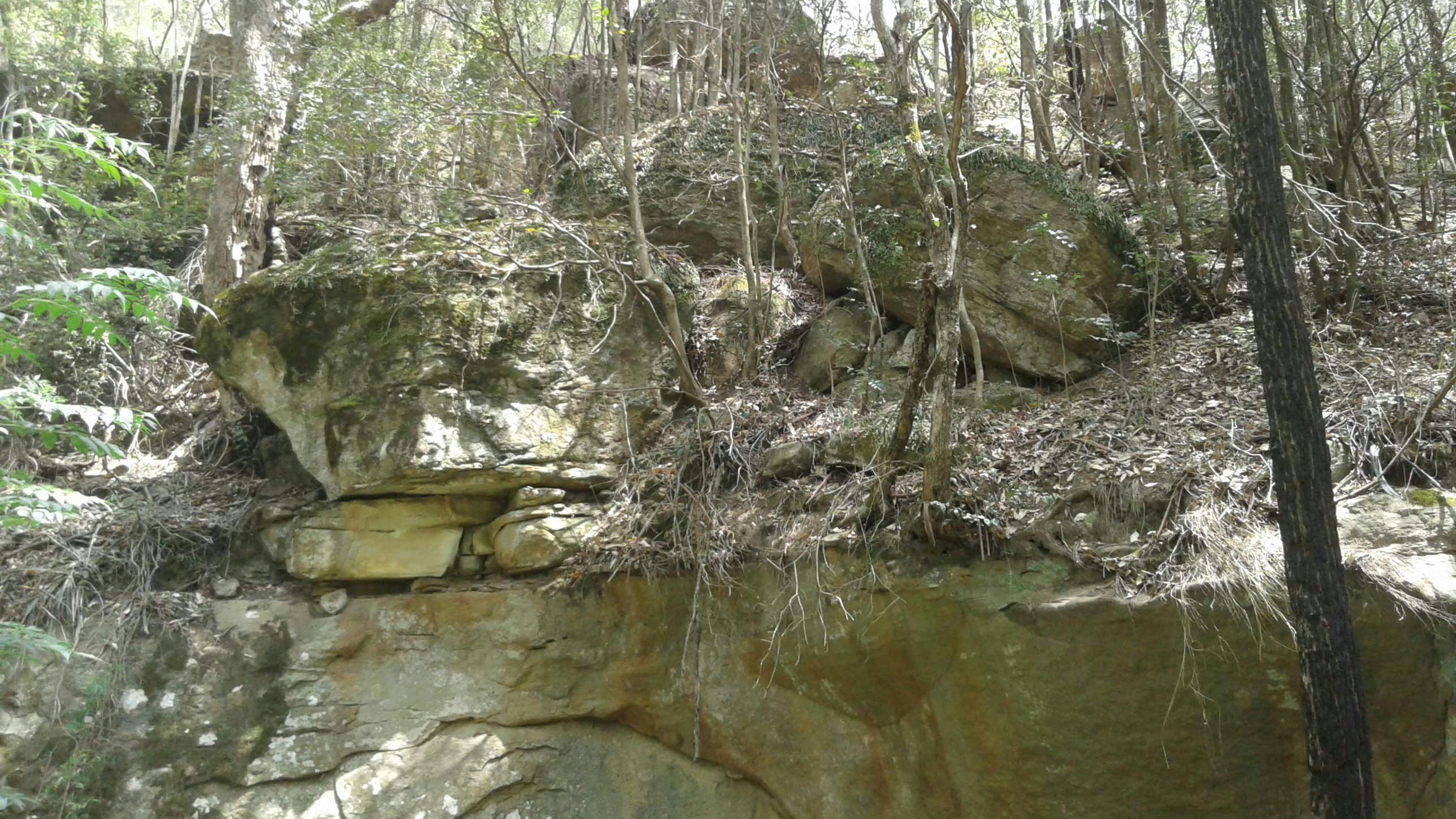 Wollombi Private Earthways camp