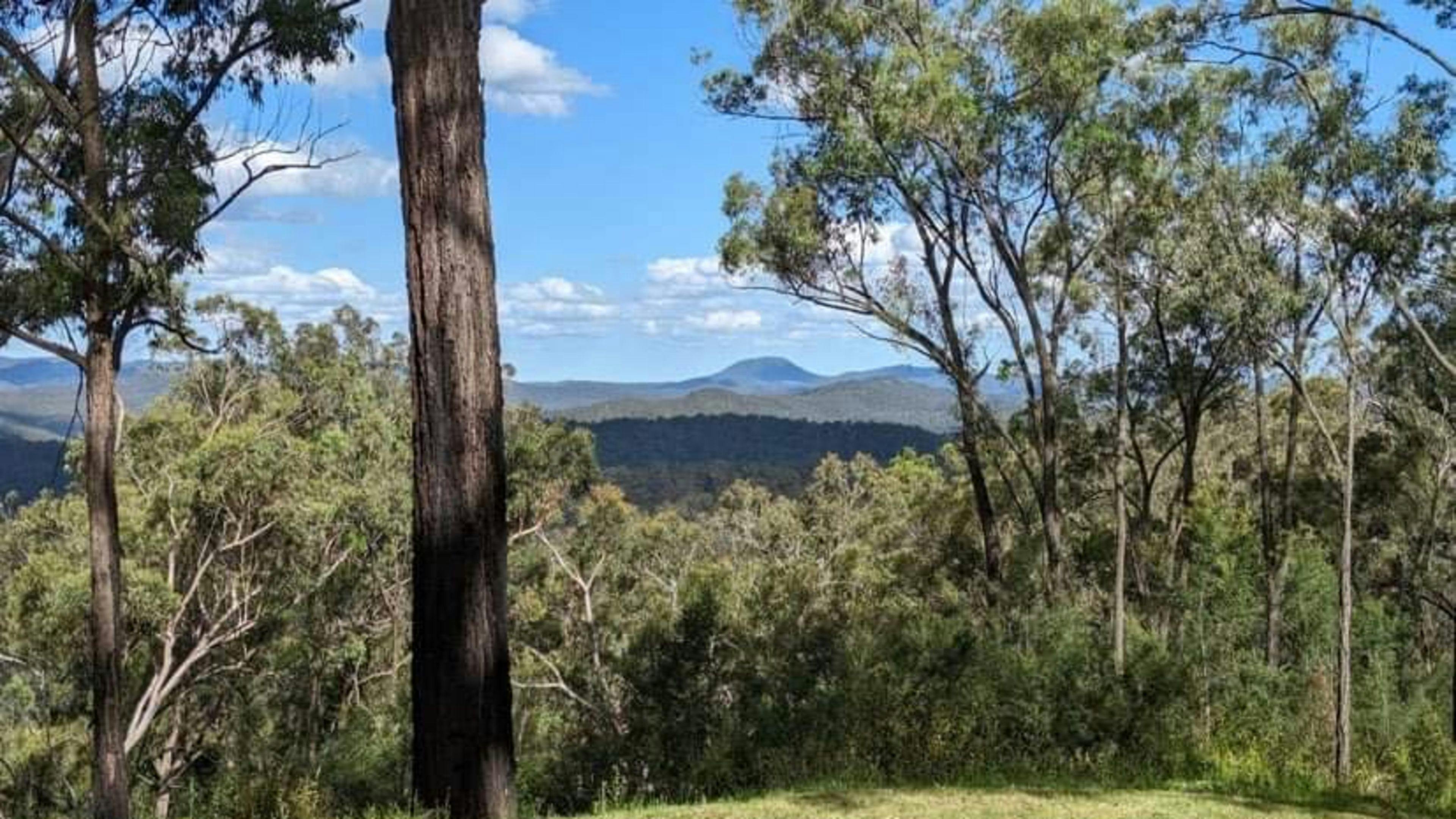 울롬비 롤링 리지스