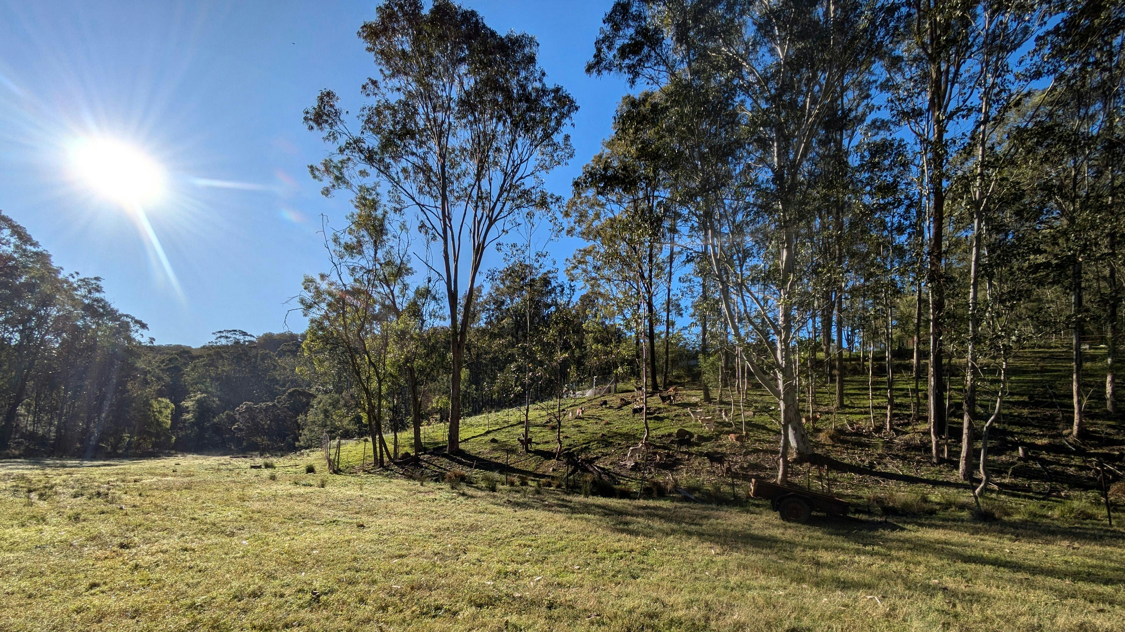 Flat valley floor camping area