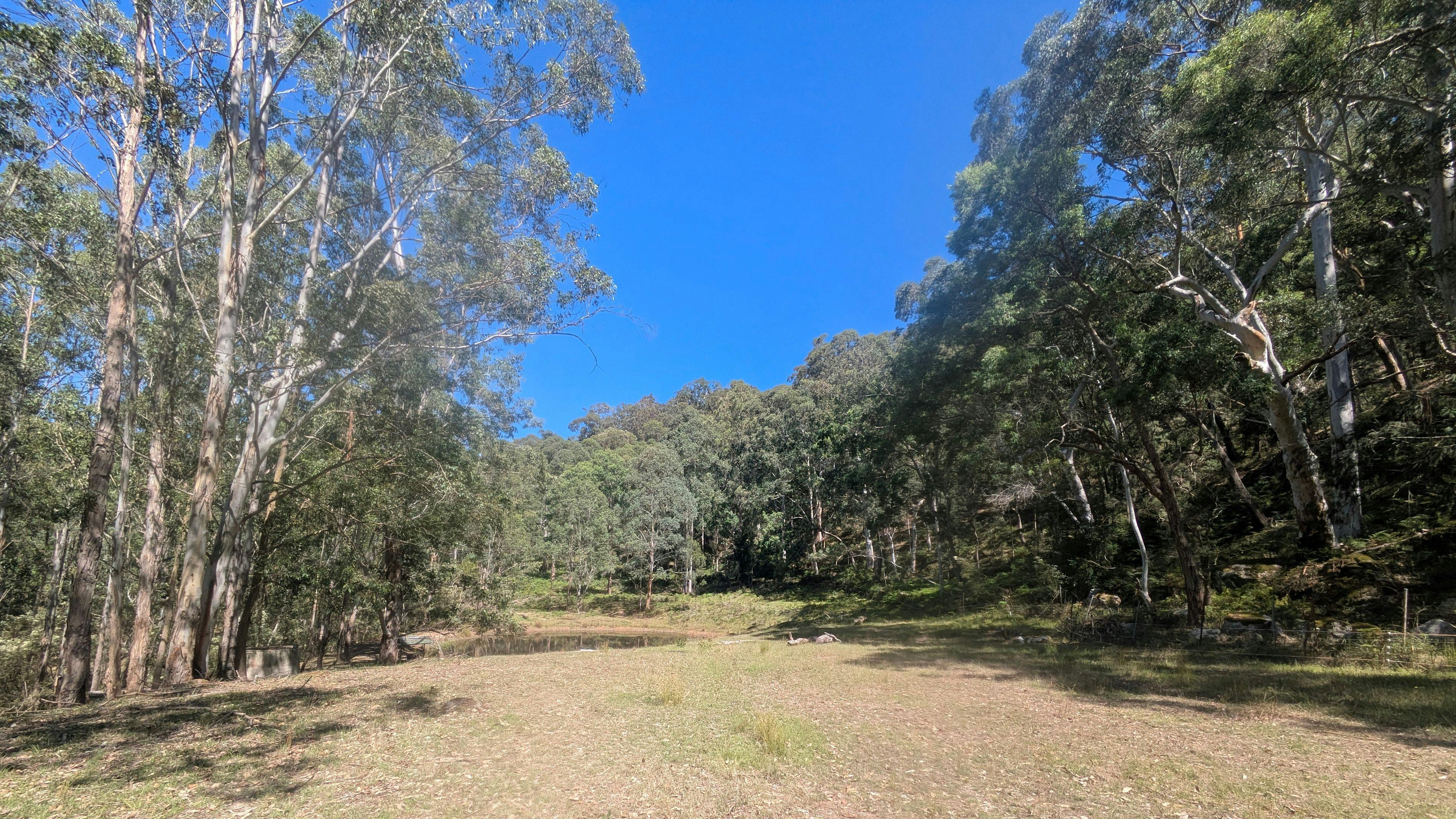 Wollombi Valley Bushland Farm