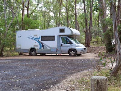 Image of Wollomombi campground