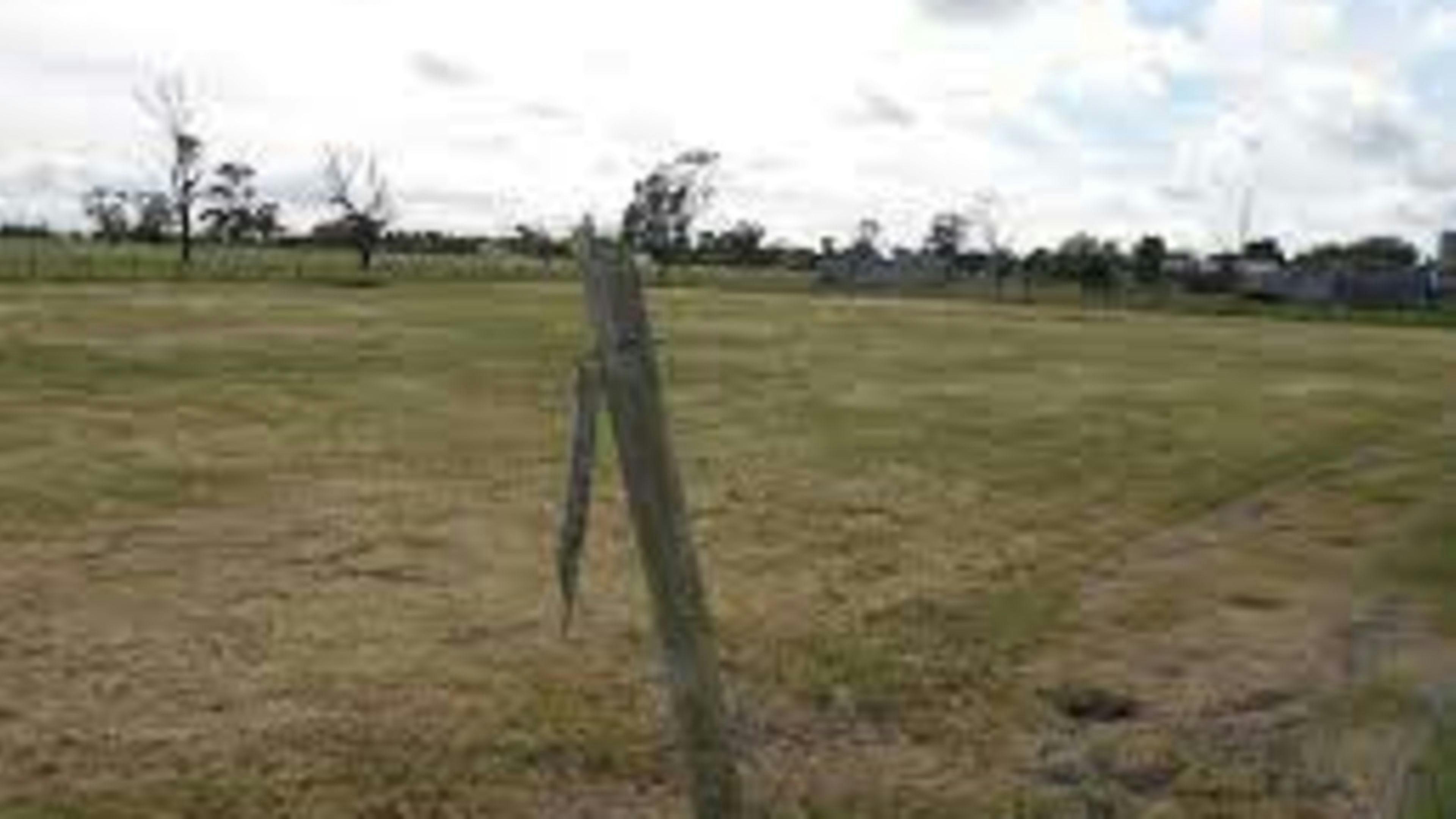 Wolseley Farm