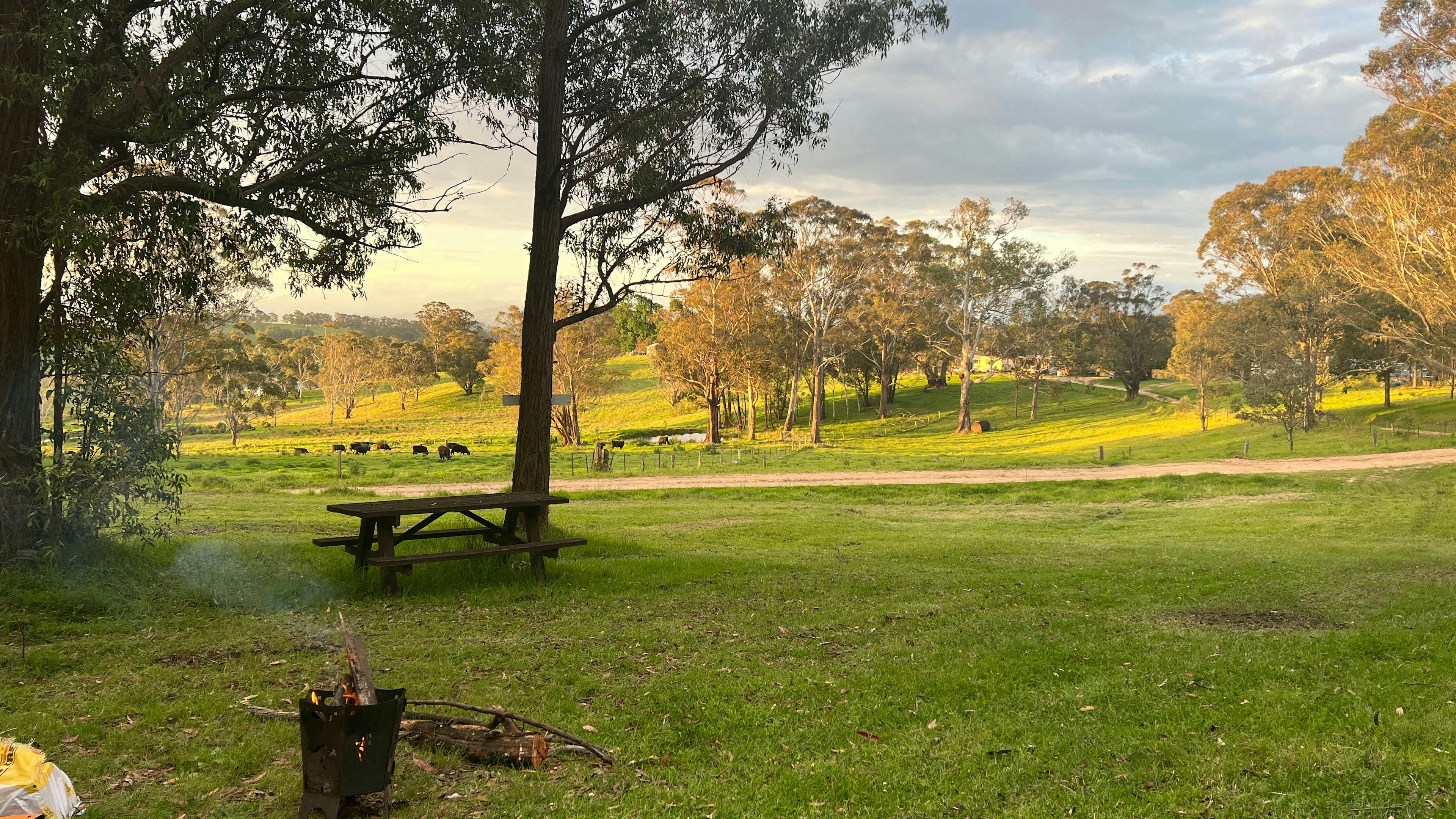 Our amazing view from the Campsite - so peaceful!