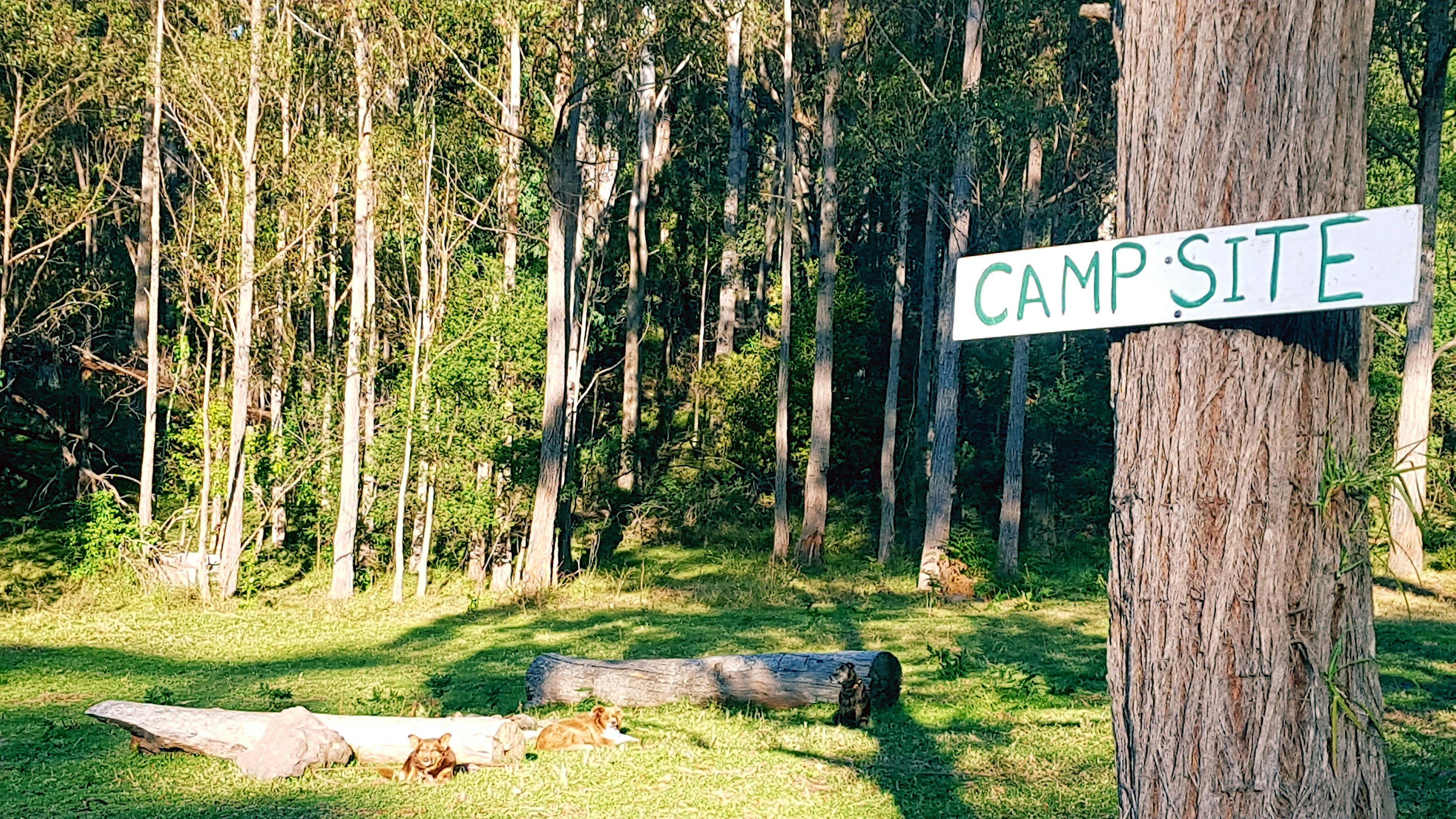 Wolumla Bush Camp