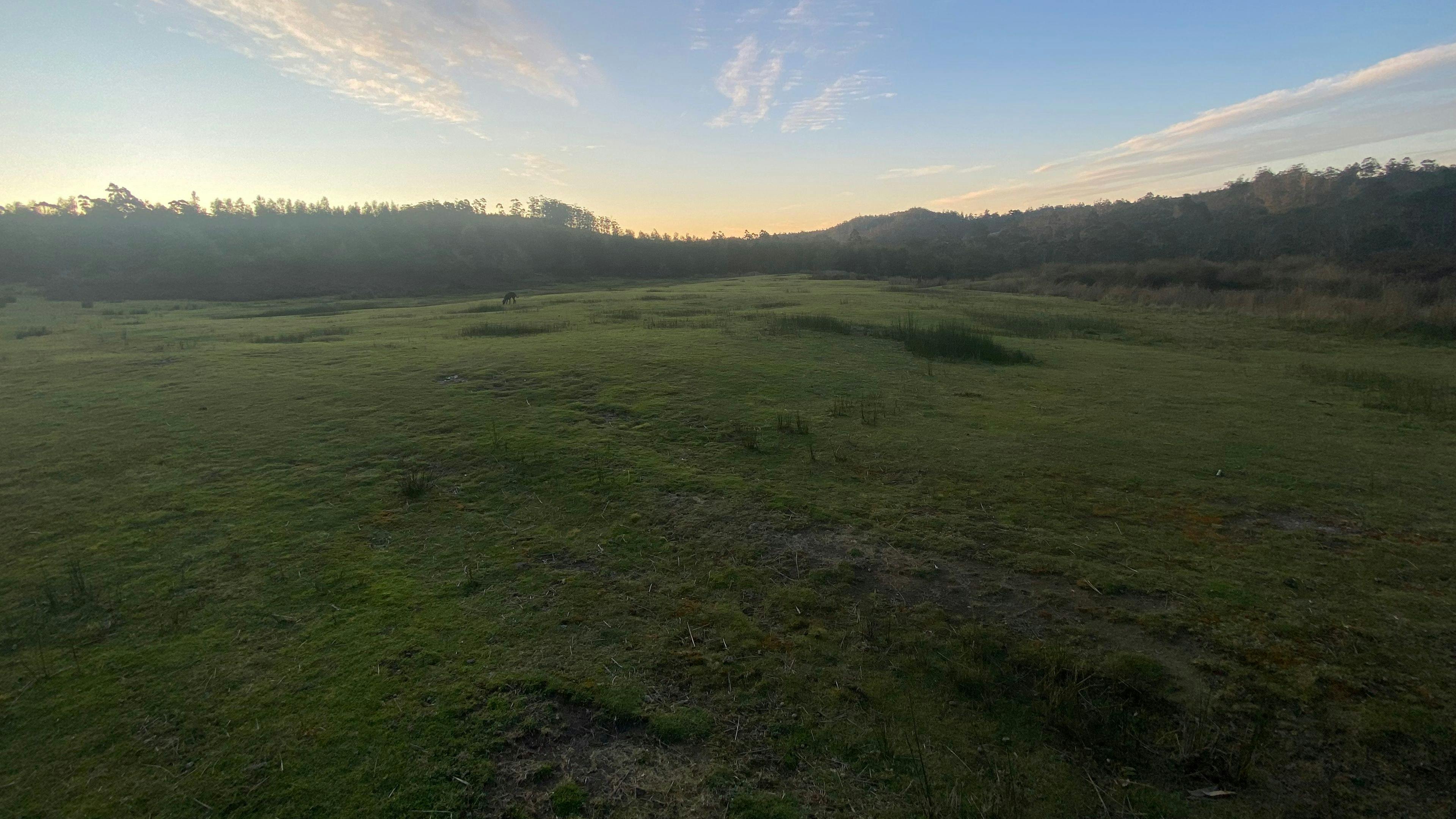 Open area for campers