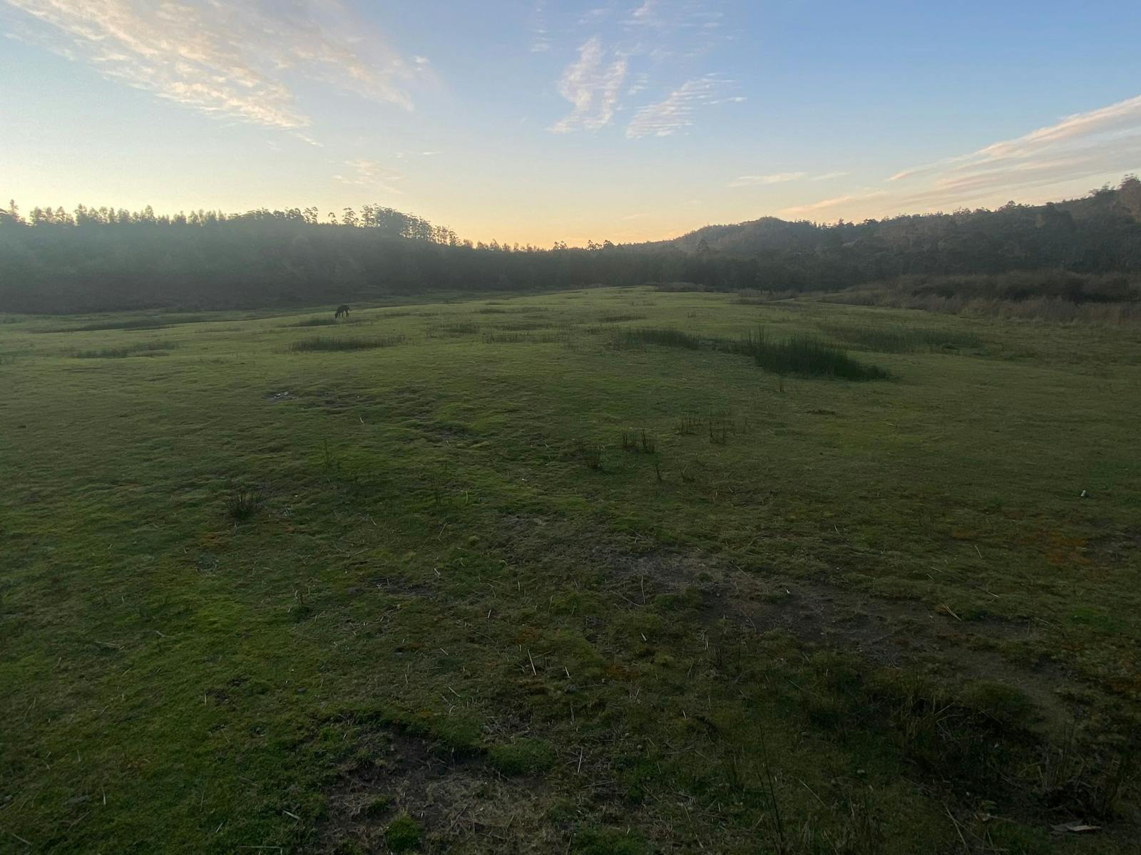 Open area for campers