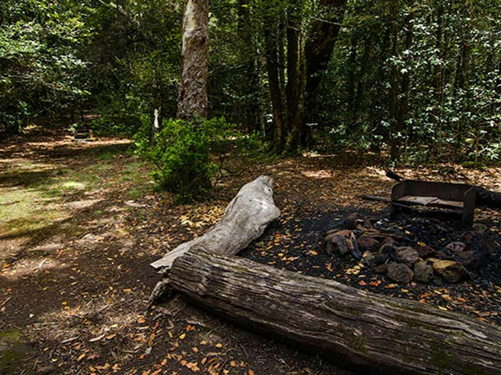 Wombat Creek campground