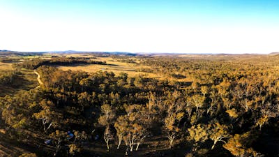Stunning bushland