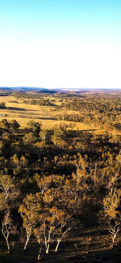 Stunning bushland