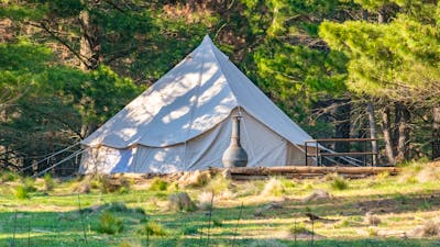 Wombat Pines - Glamping and Camping