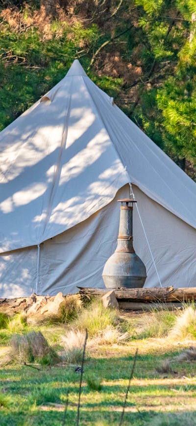 Wombat Pines - Glamping and Camping