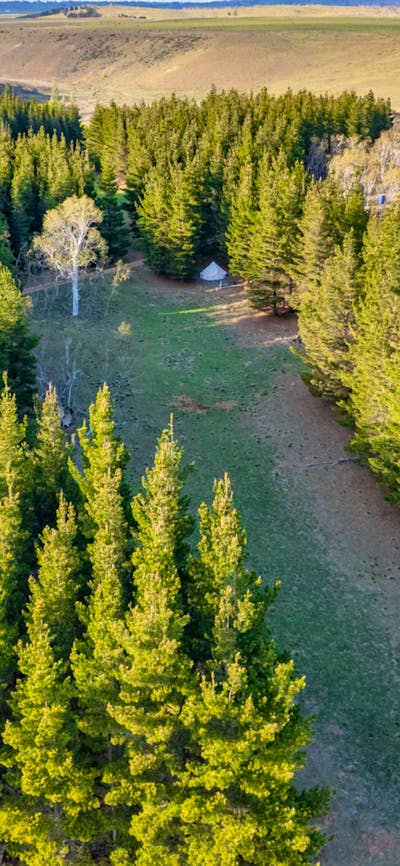 Wombat Pines - Glamping and Camping