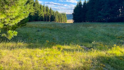 Wombat Pines - Private Camping