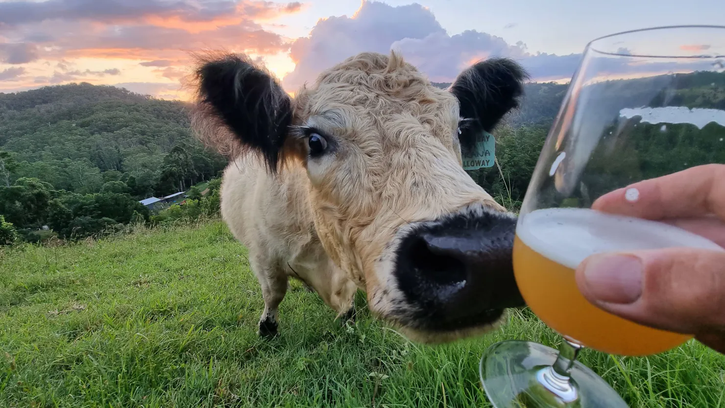 Wonderland 4WD Bushcamp