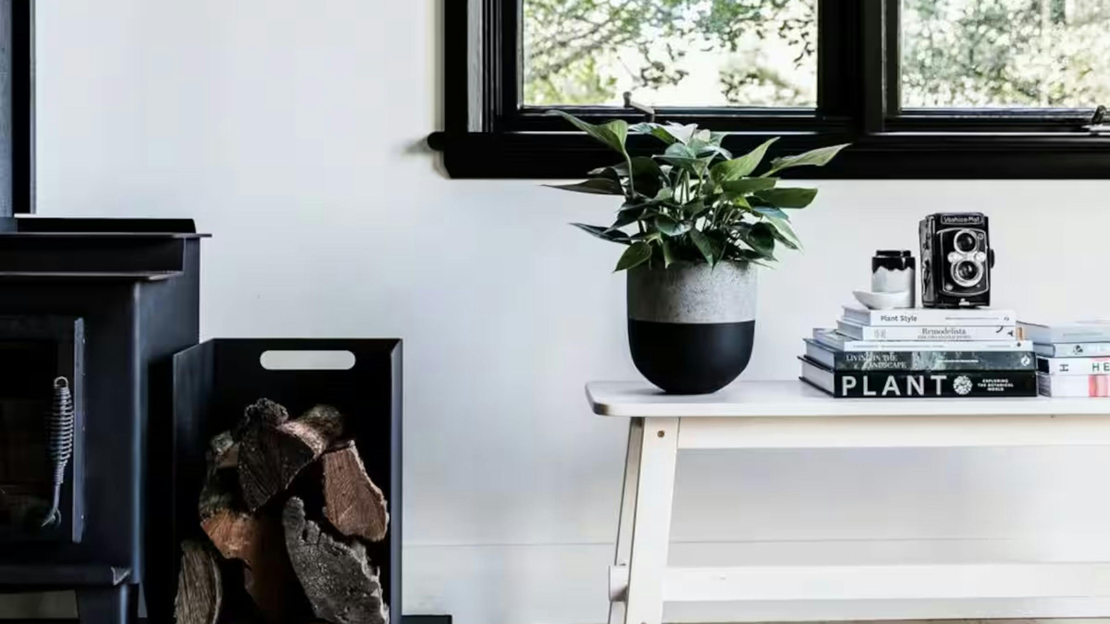 ワンダーネスト