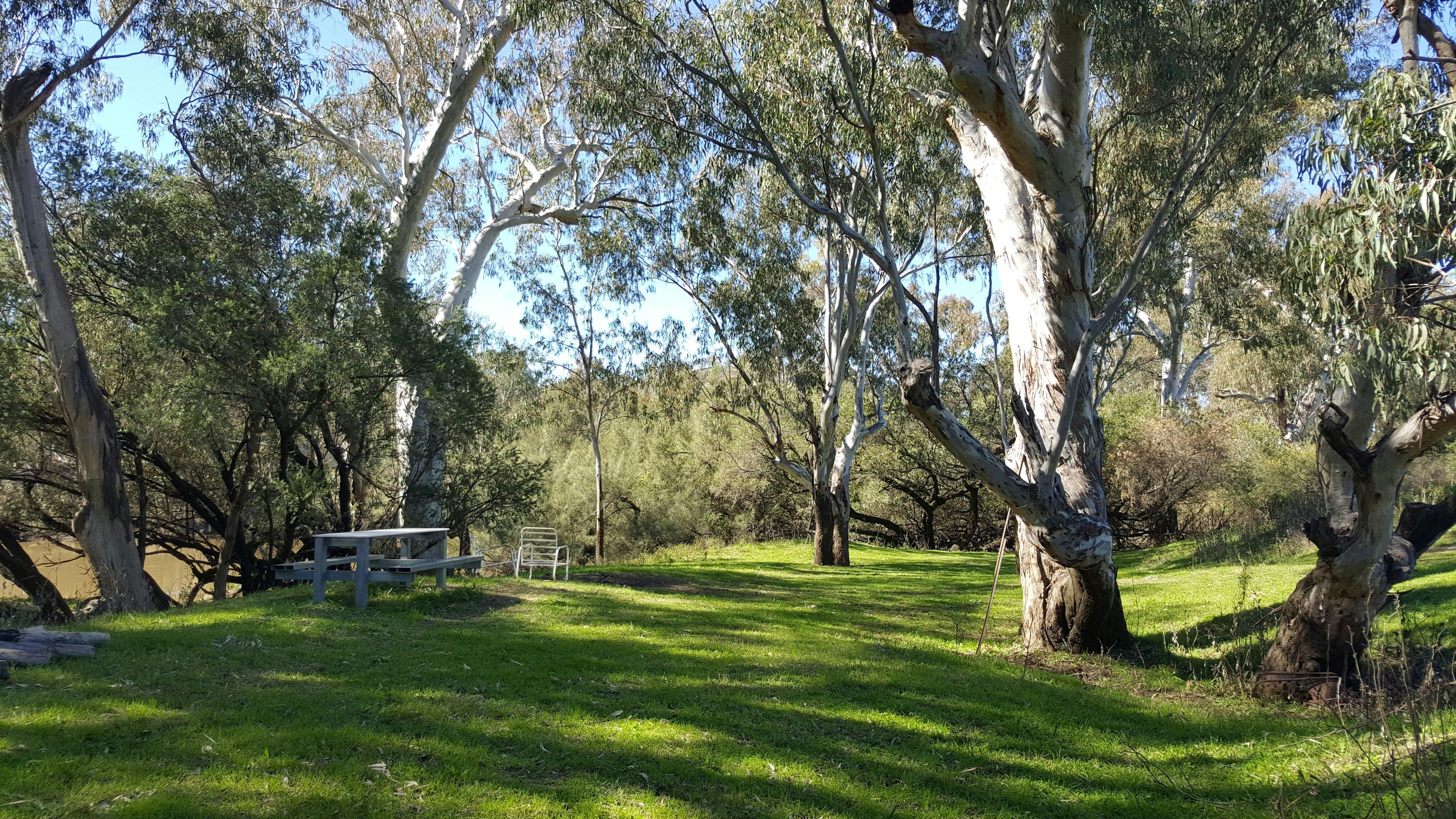 Wongalea Fishing and Camping