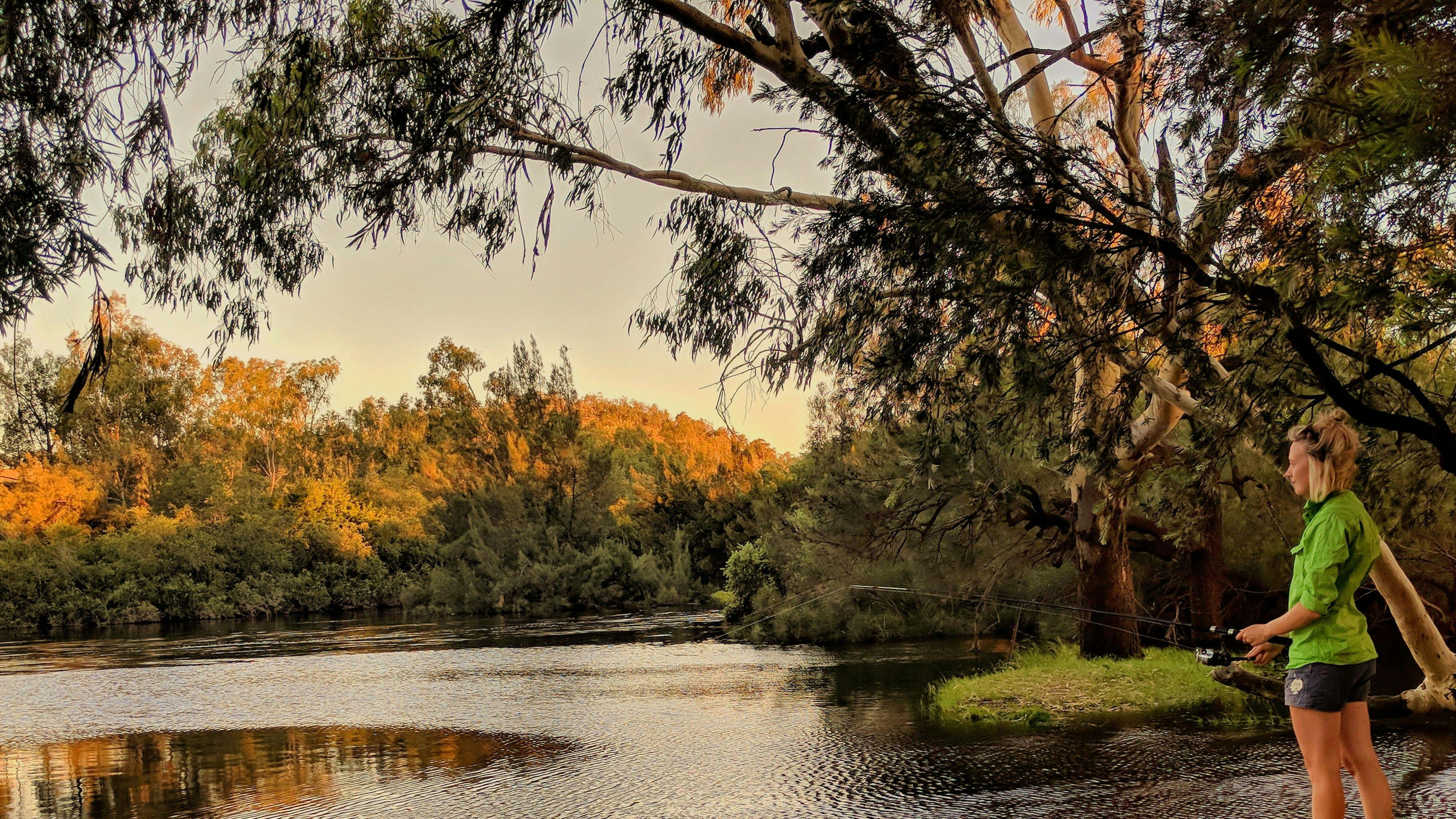 Wongalea Fishing and Camping