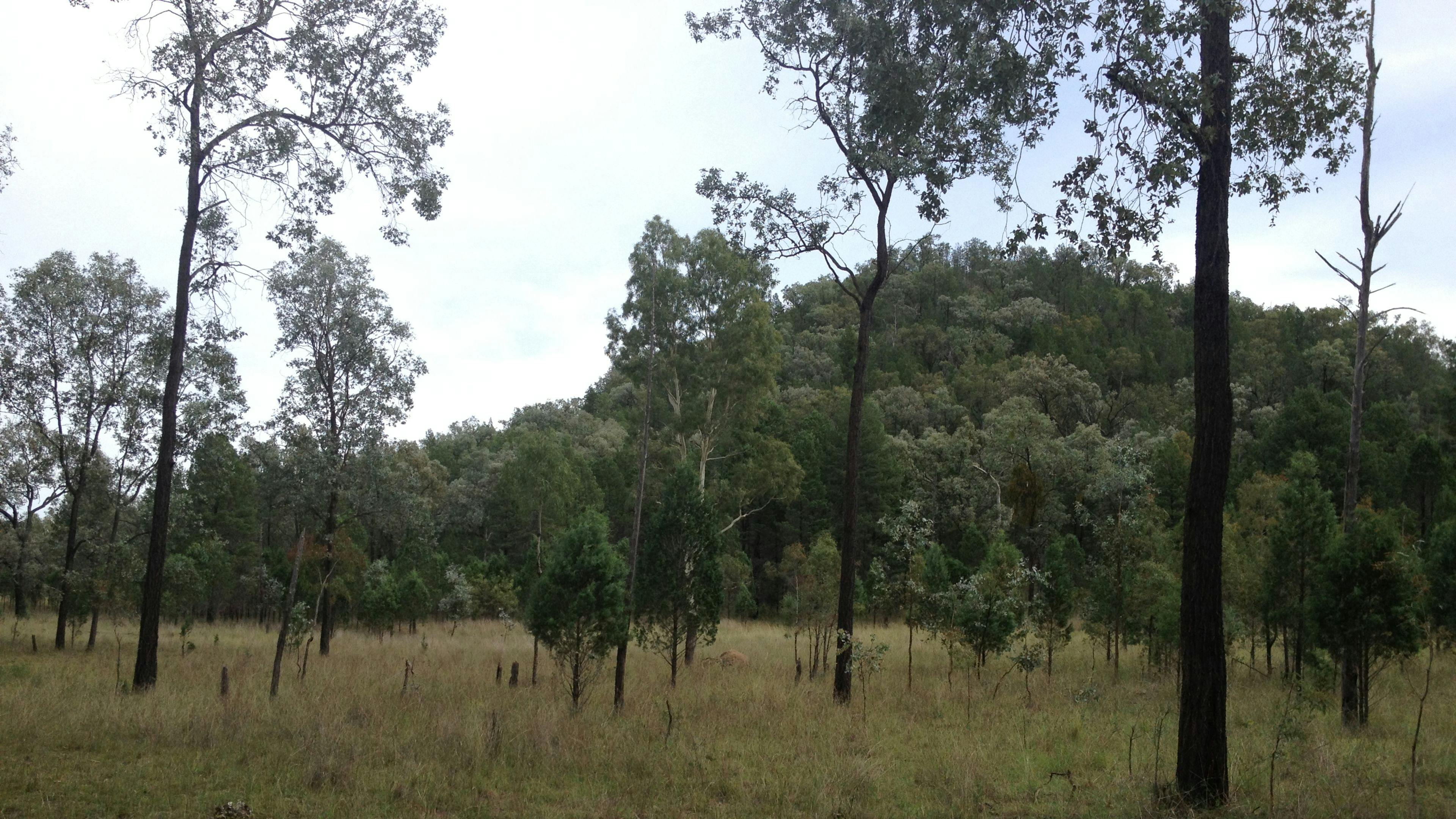 Wongalea Fishing and Camping