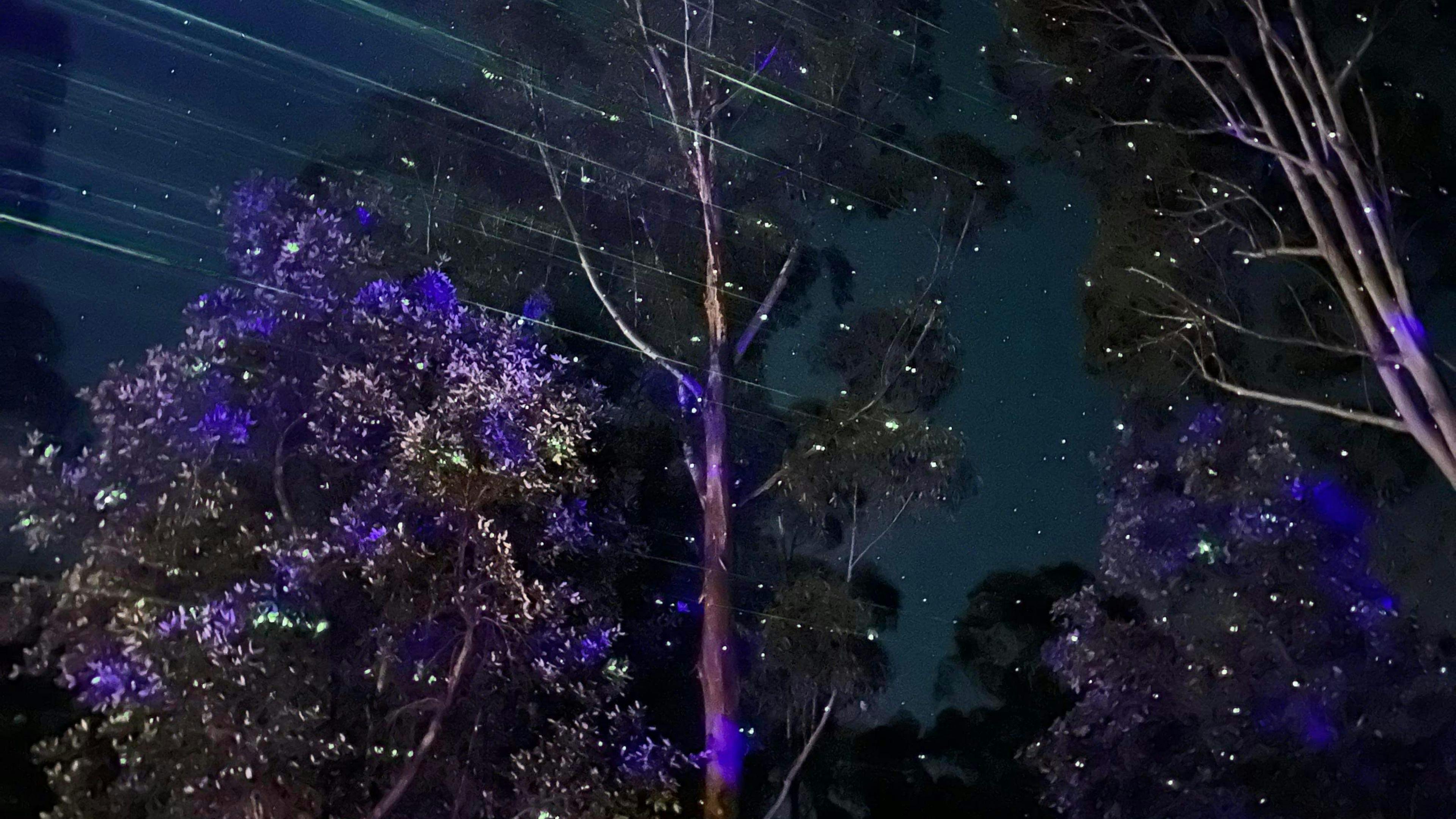 Woodenhead Experiences