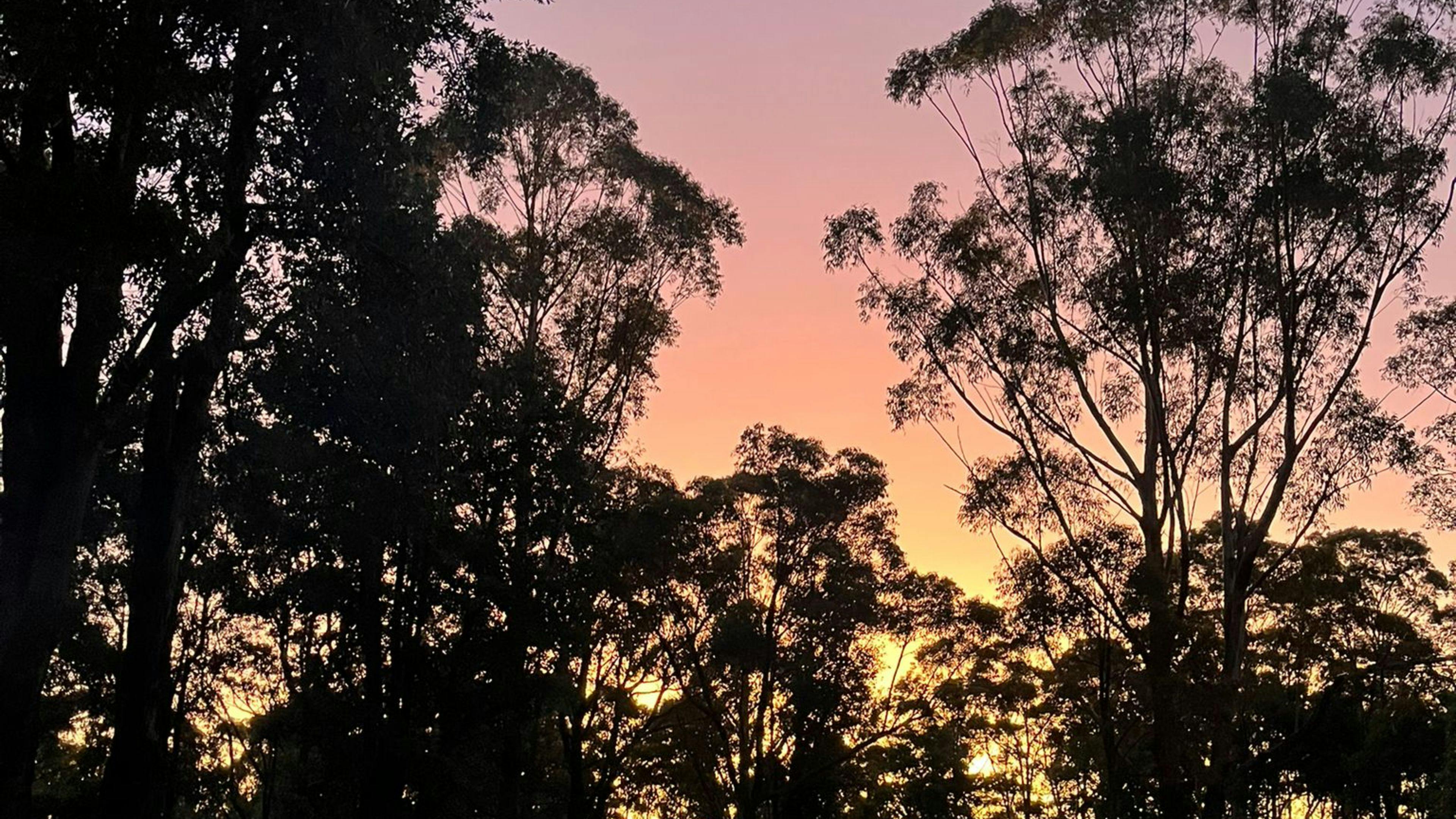 Woodenhead Experiences