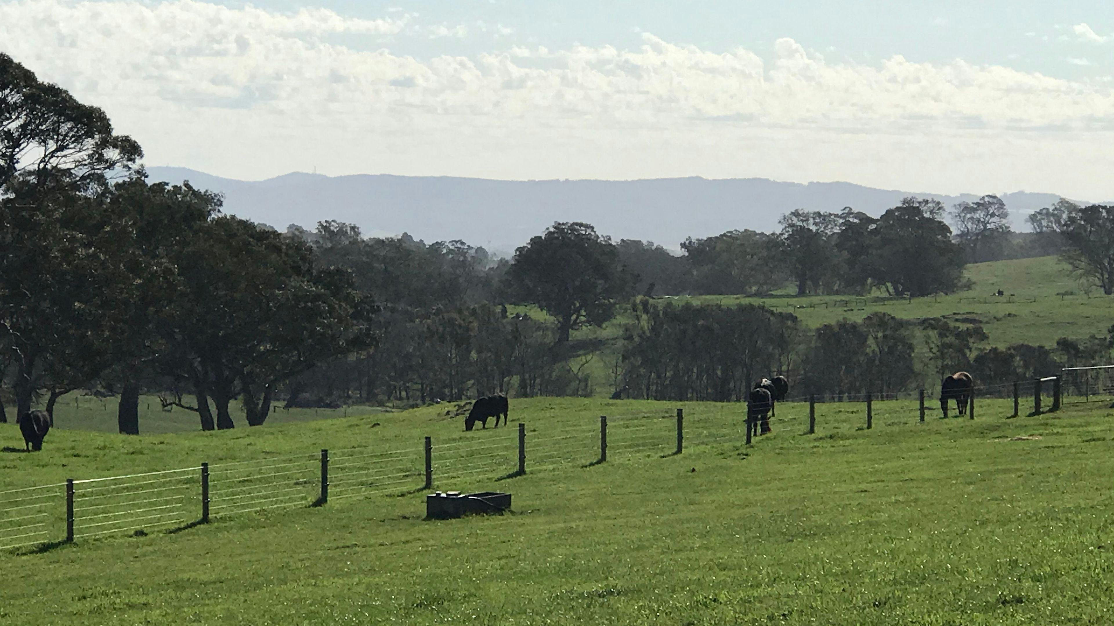 Woodside Farm Stay Adelaide Hills