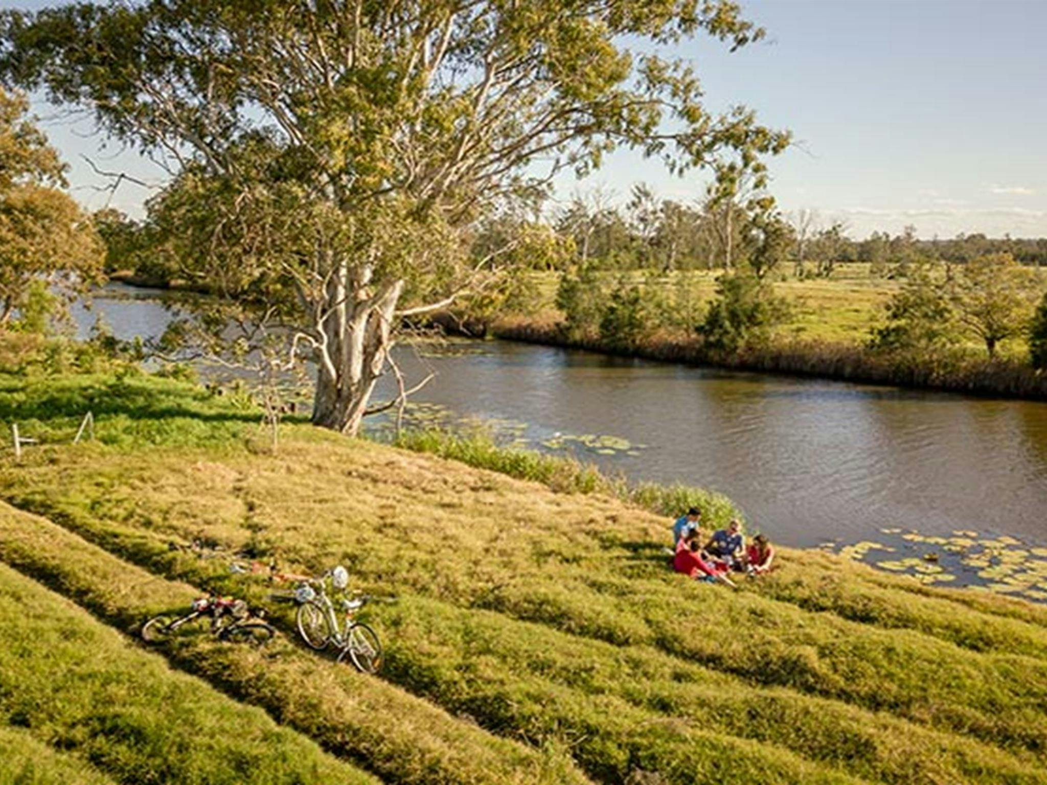 우디 크릭 강둑에서 피크닉을 즐기는 친구들. 사진: 존 스펜서/OEH