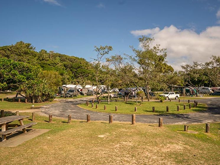 Woody Head campground and picnic area, with caravans and tents pitched by holiday makers, Bundjalung
