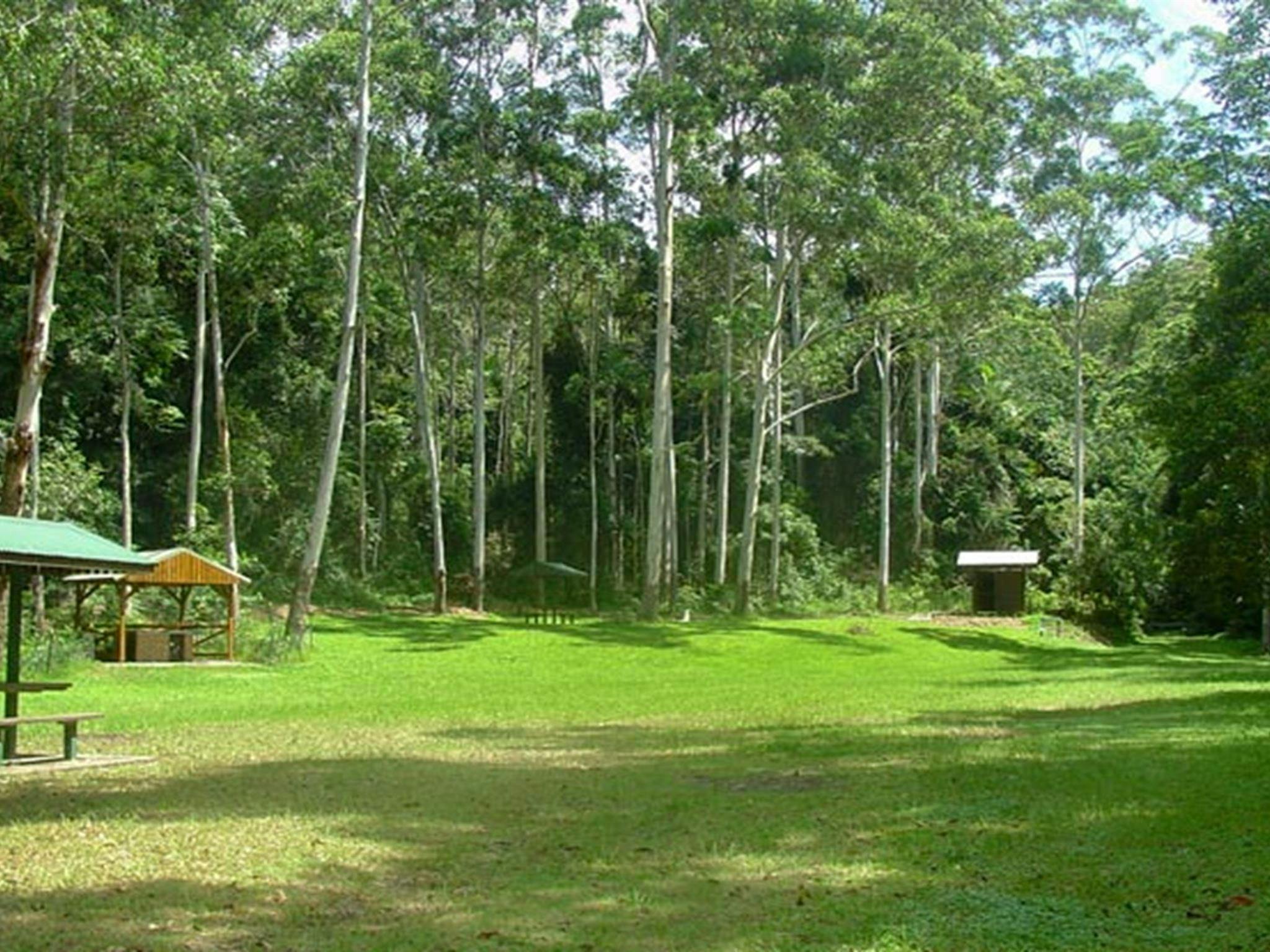 Woolgoolga Creek picnic area