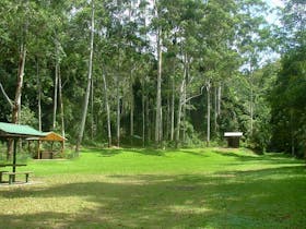 Woolgoolga Creek picnic area