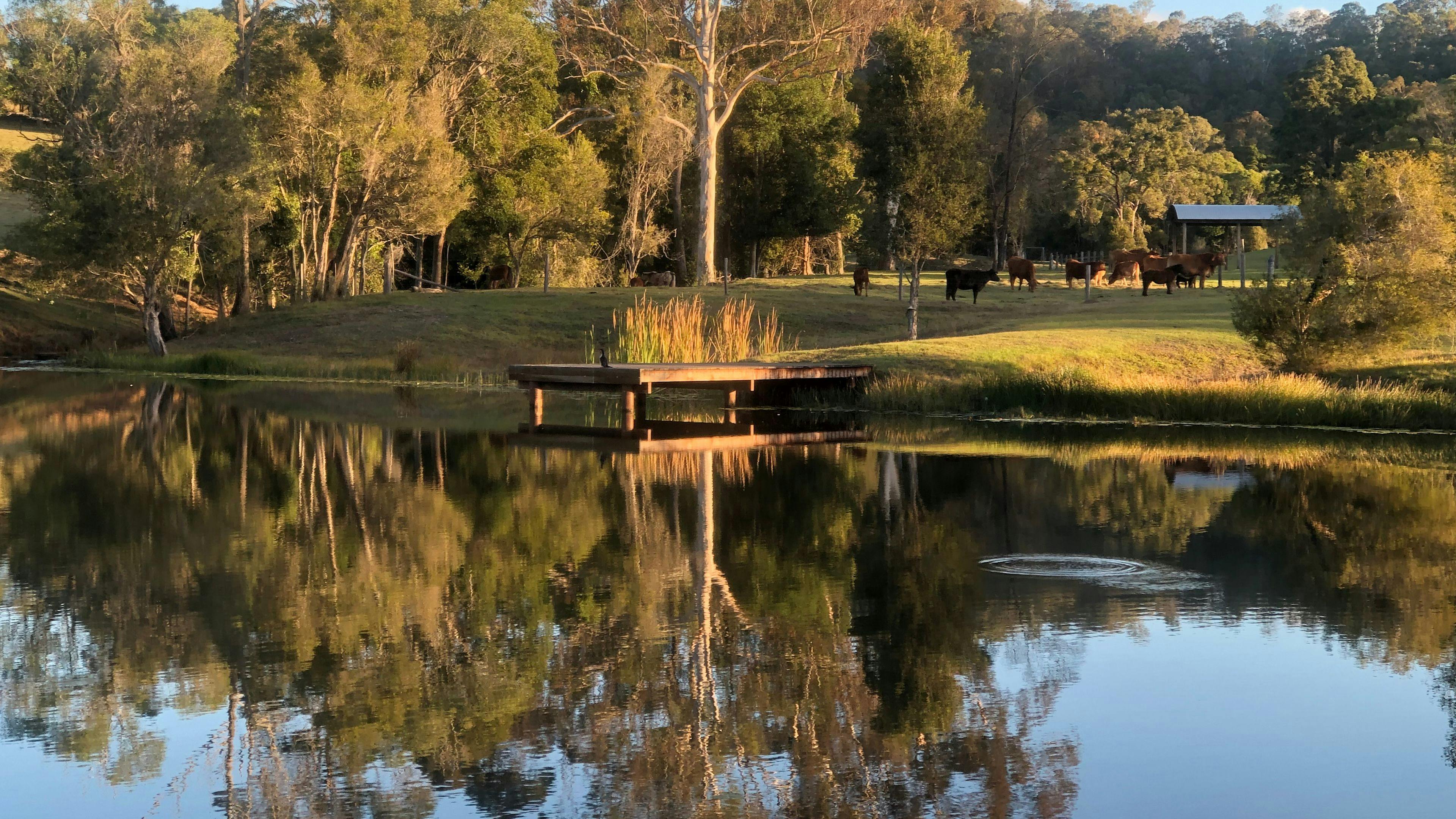 Woollahra Homestead - Farm Stay