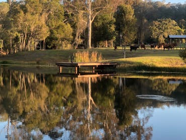 Woollahra Homestead - Farm Stay Woollahra Homestead - Farm Stay
