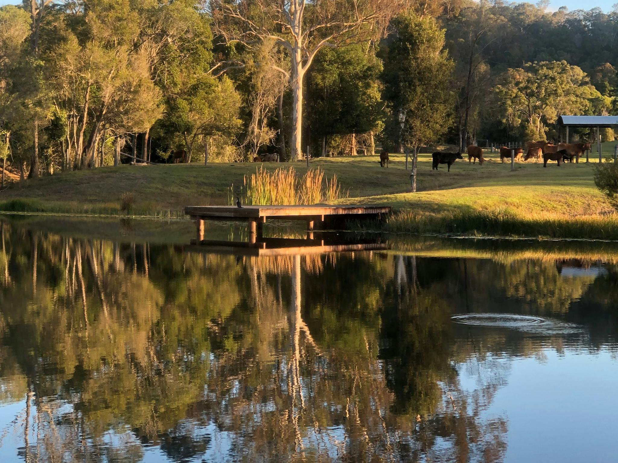 Woollahra Homestead – Farm Stay