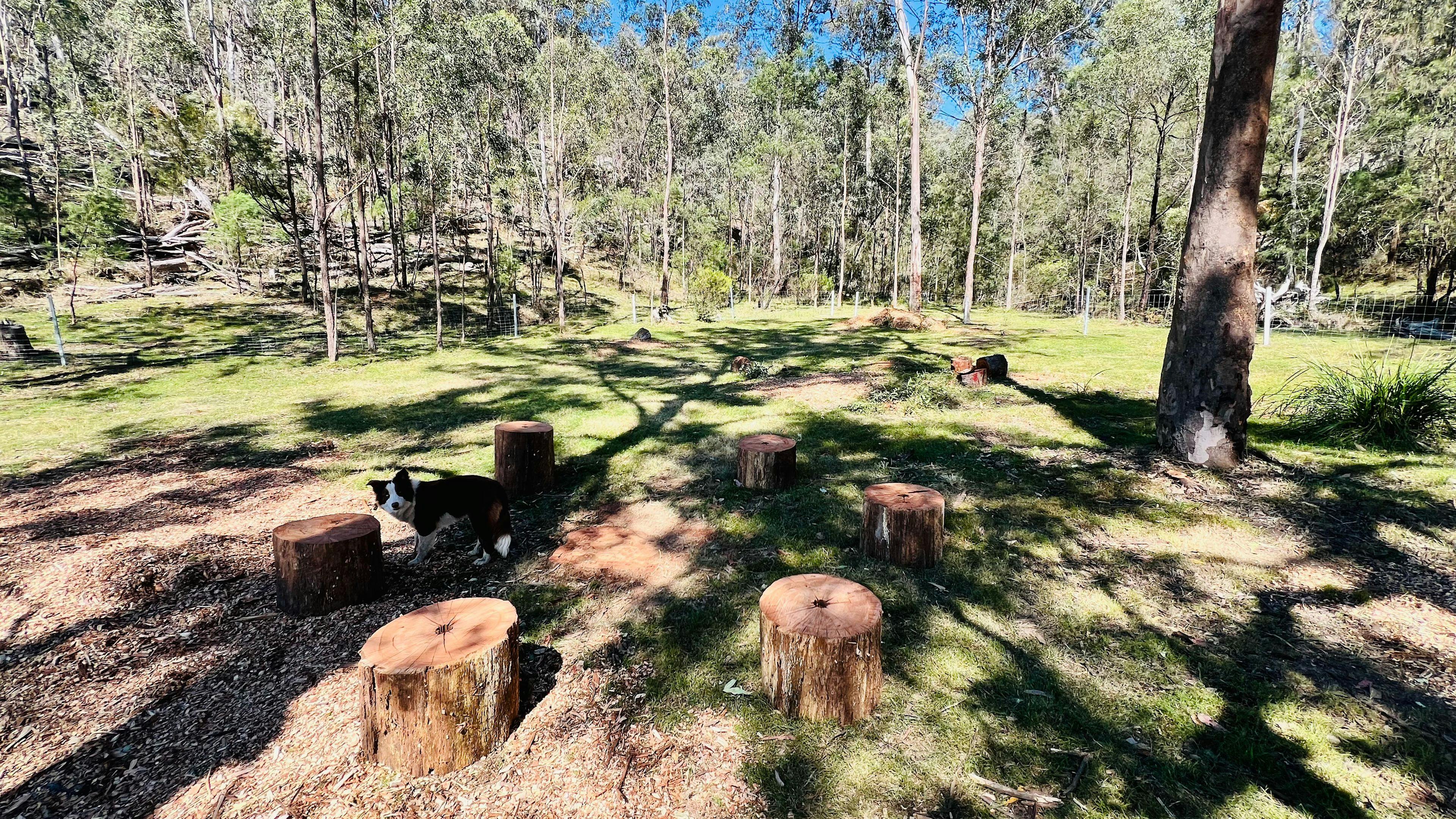 Woollybutt Farm